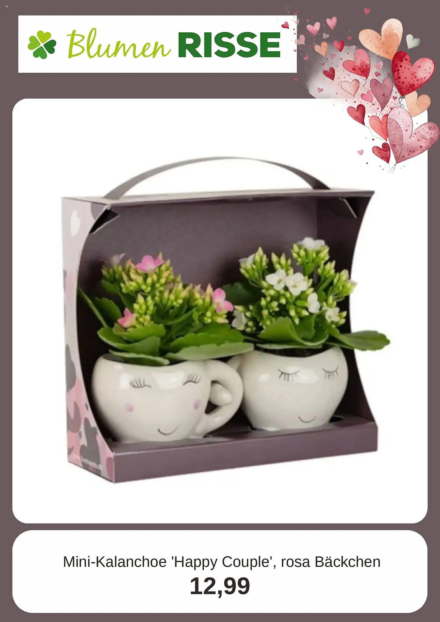 Blumen Risse Prospekt