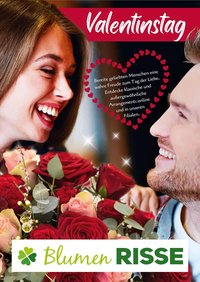 Blumen Risse Prospekt