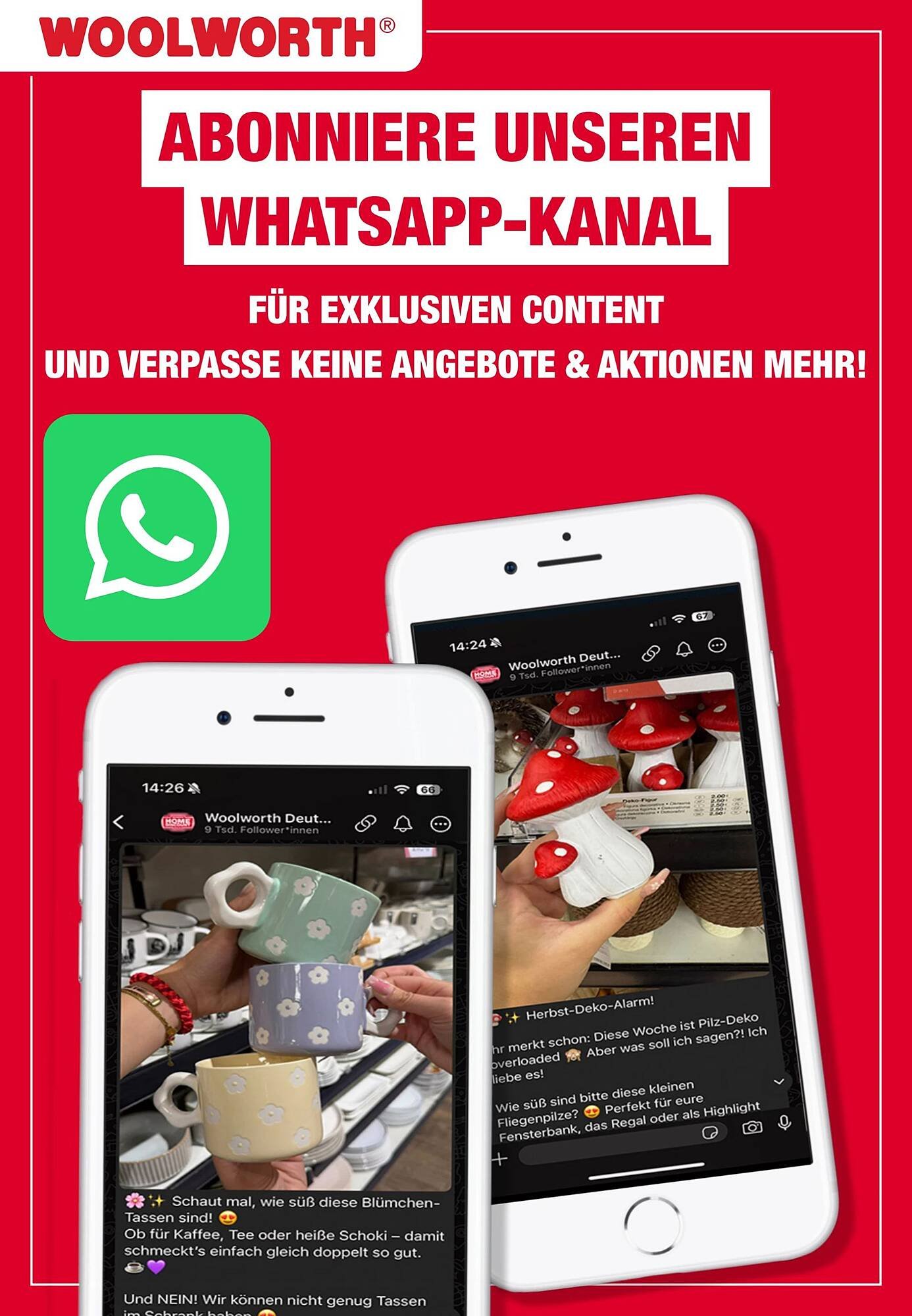 Woolworth Prospekt (2025-12-12 - 2025-12-23)