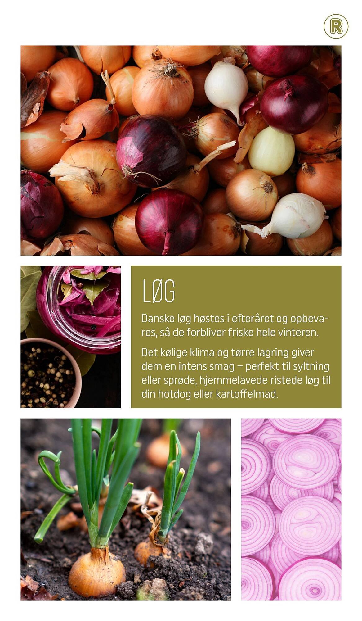 REMA 1000 tilbudsavis