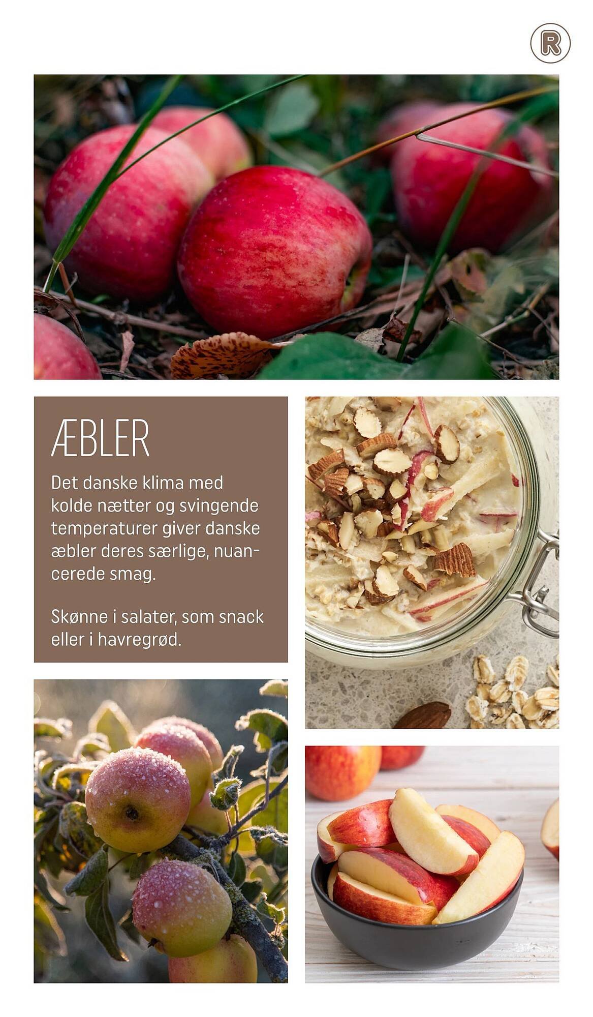 REMA 1000 tilbudsavis