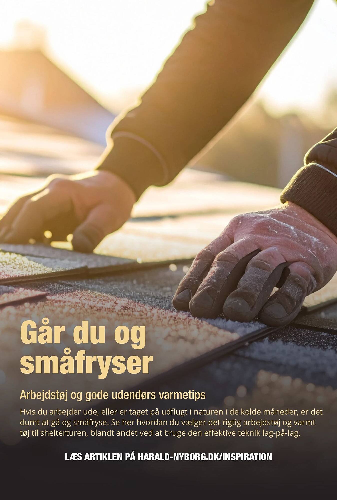 Harald Nyborg tilbudsavis