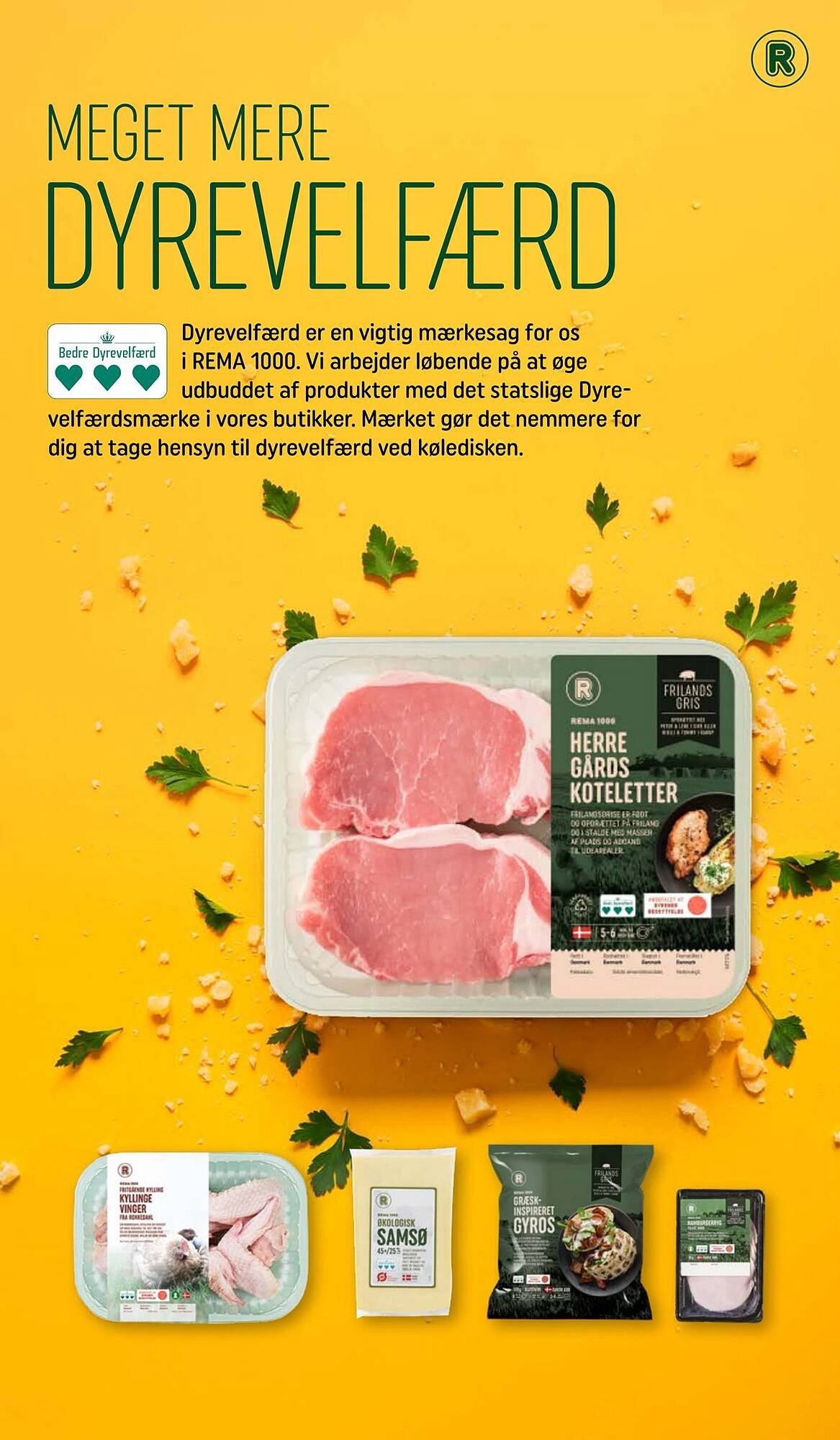 REMA 1000 tilbudsavis
