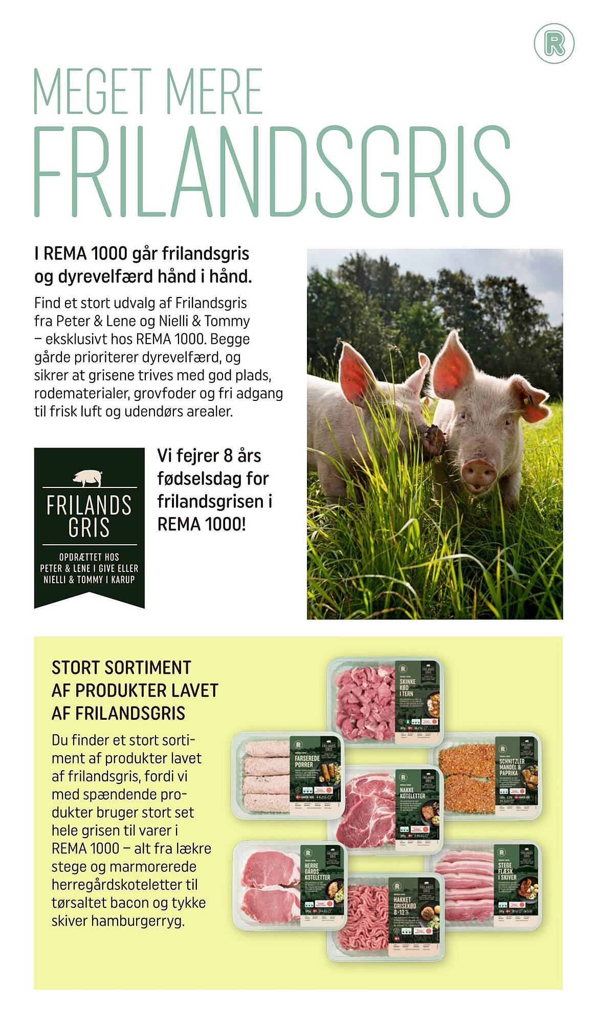 REMA 1000 tilbudsavis