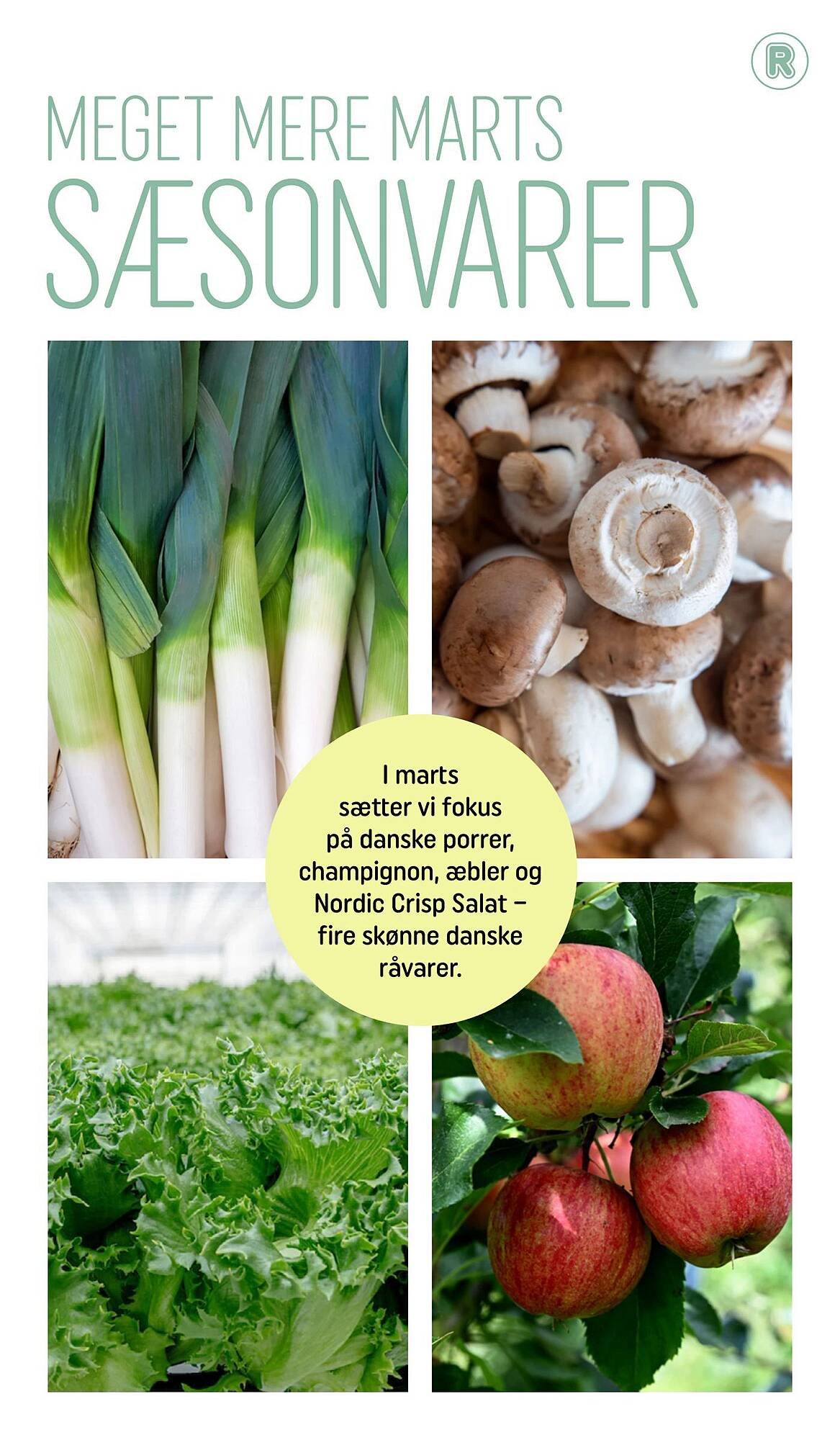 REMA 1000 tilbudsavis