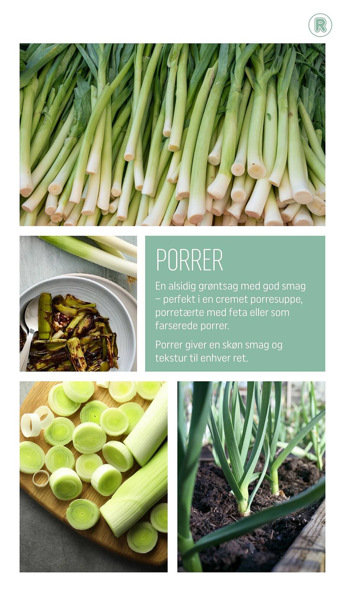 REMA 1000 tilbudsavis