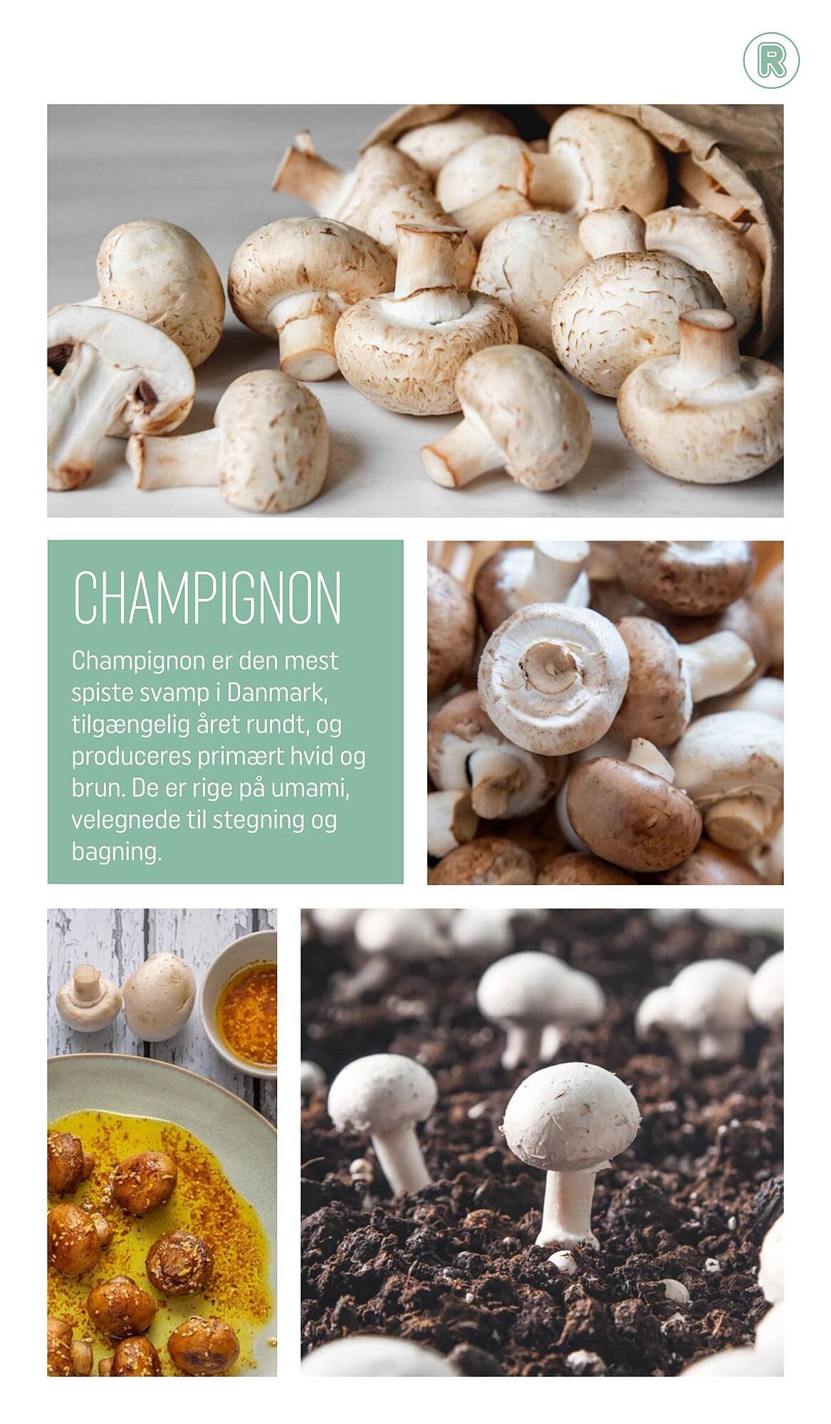 REMA 1000 tilbudsavis