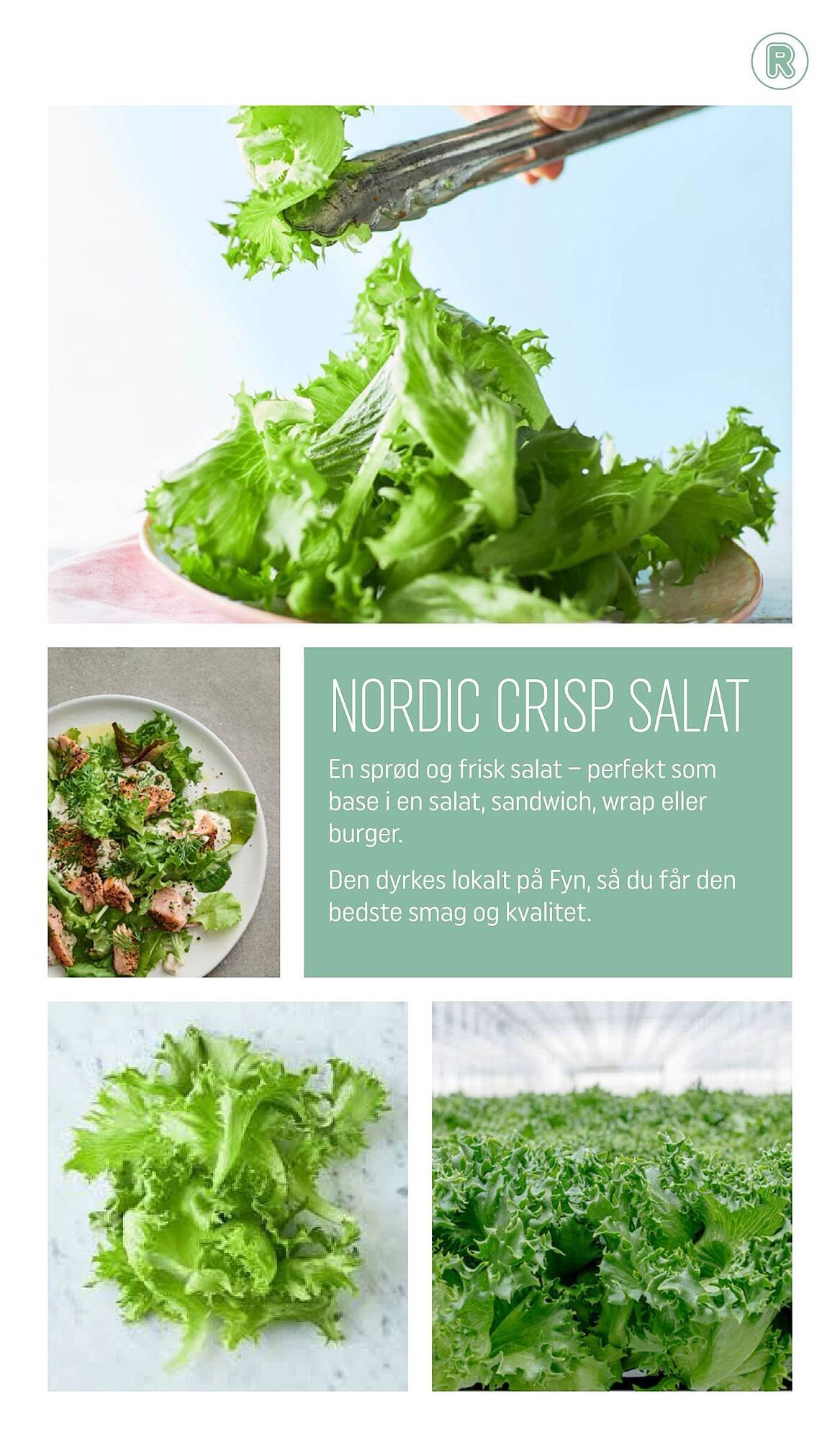 REMA 1000 tilbudsavis