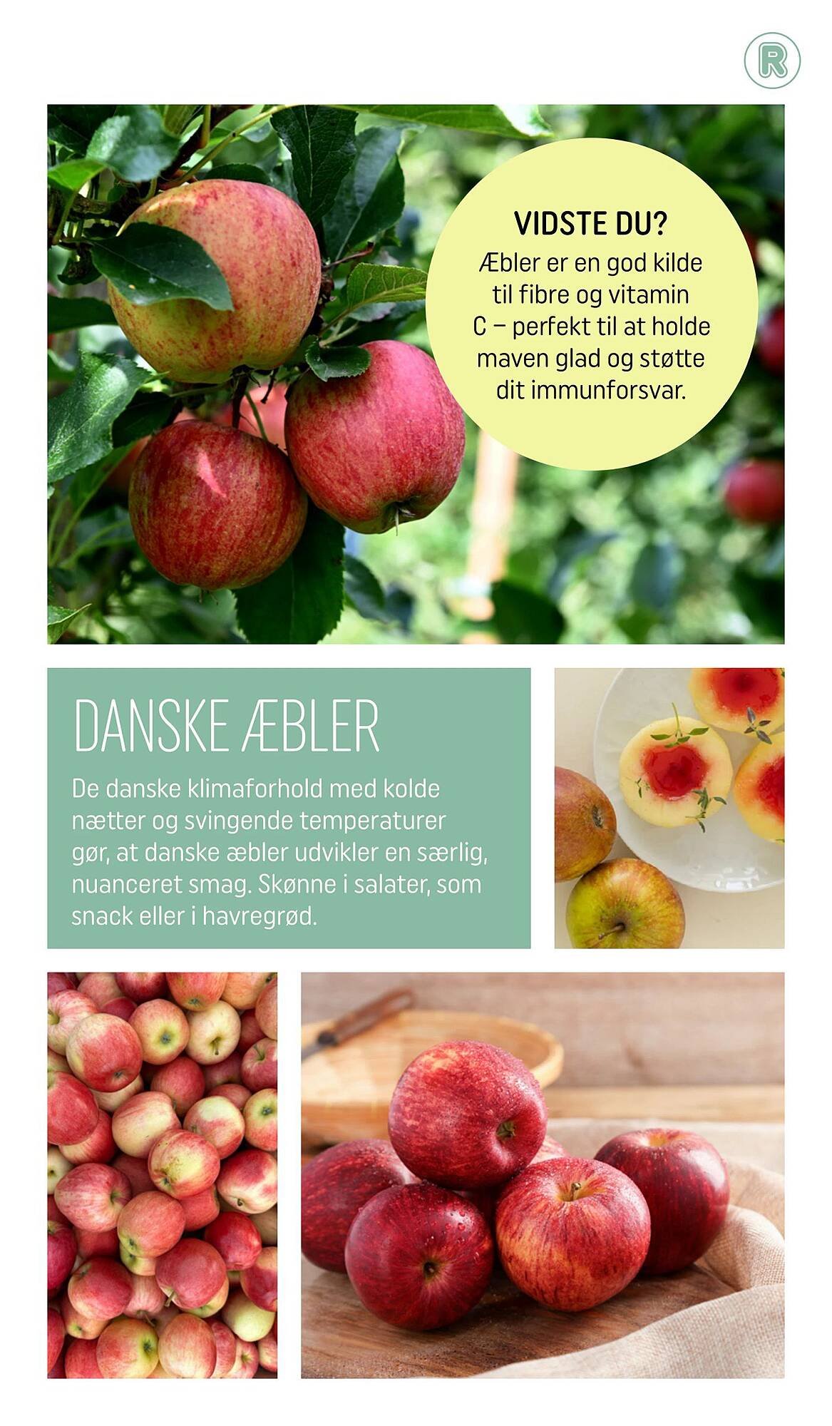 REMA 1000 tilbudsavis