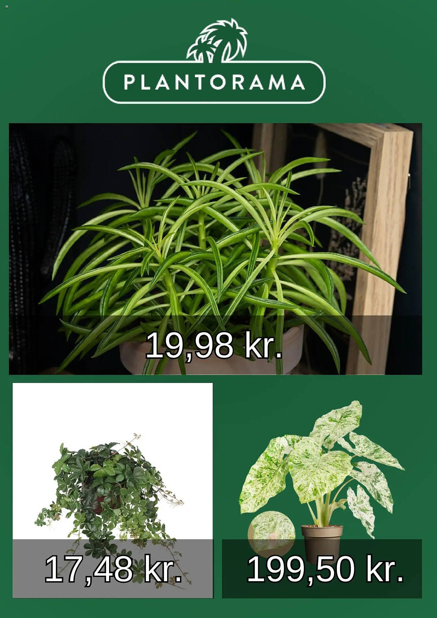 Plantorama tilbudsavis