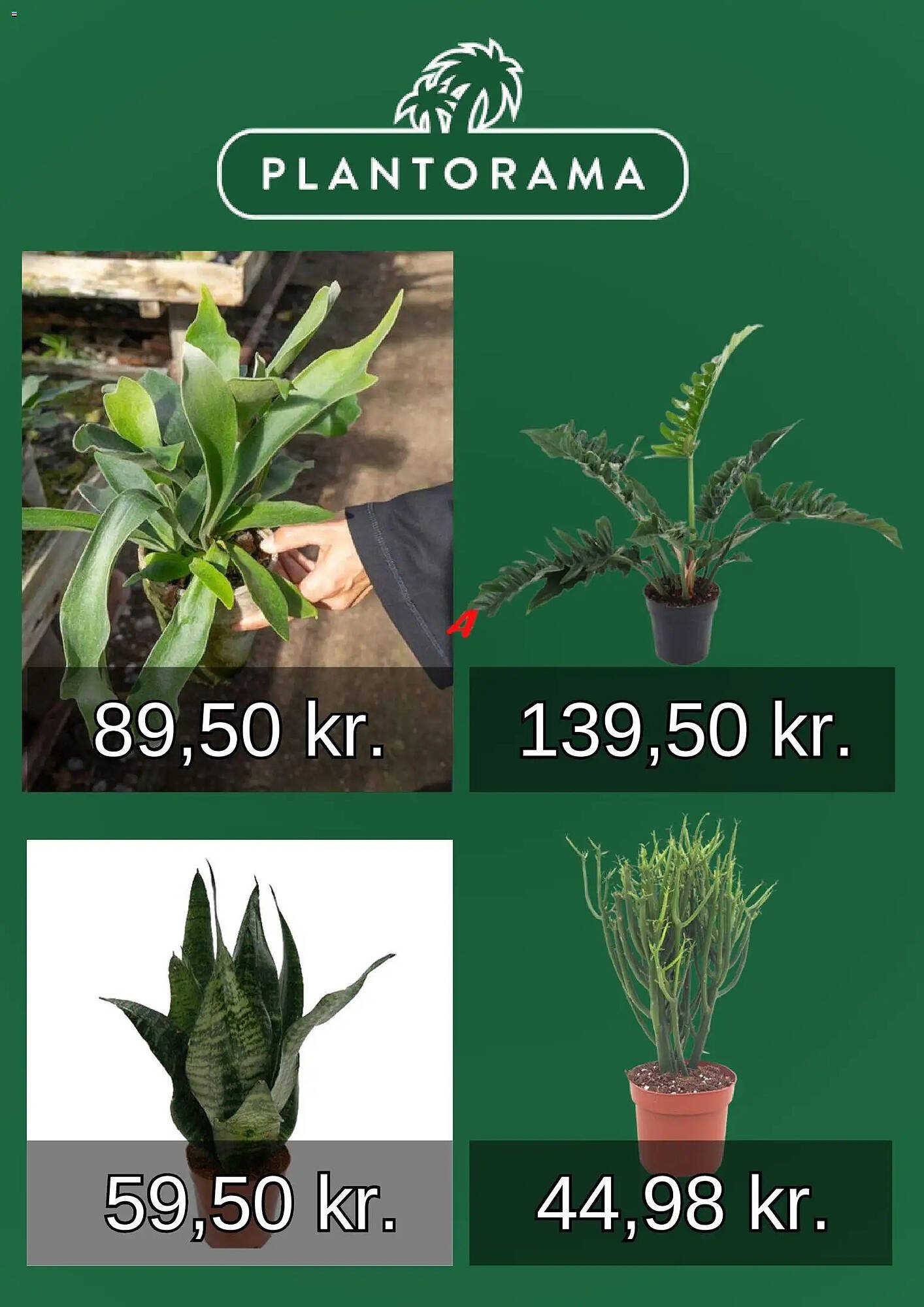 Plantorama tilbudsavis