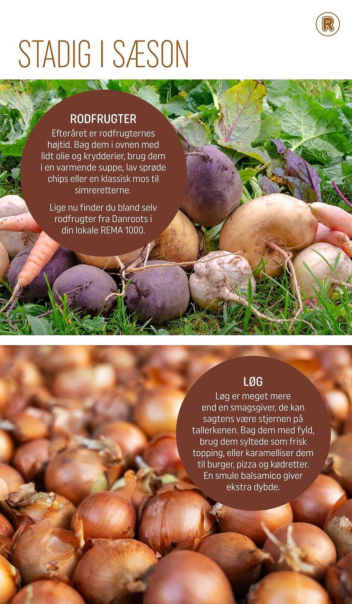 REMA 1000 tilbudsavis