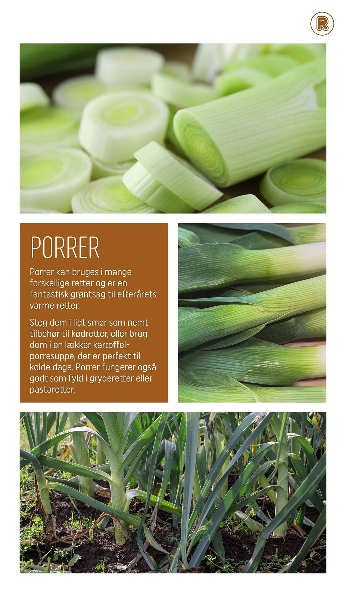 REMA 1000 tilbudsavis