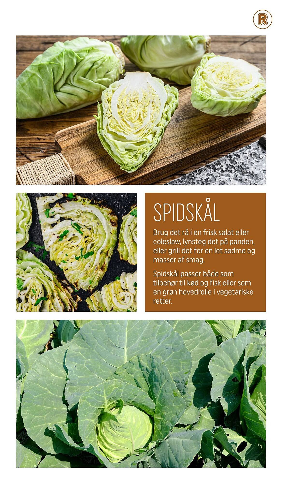 REMA 1000 tilbudsavis