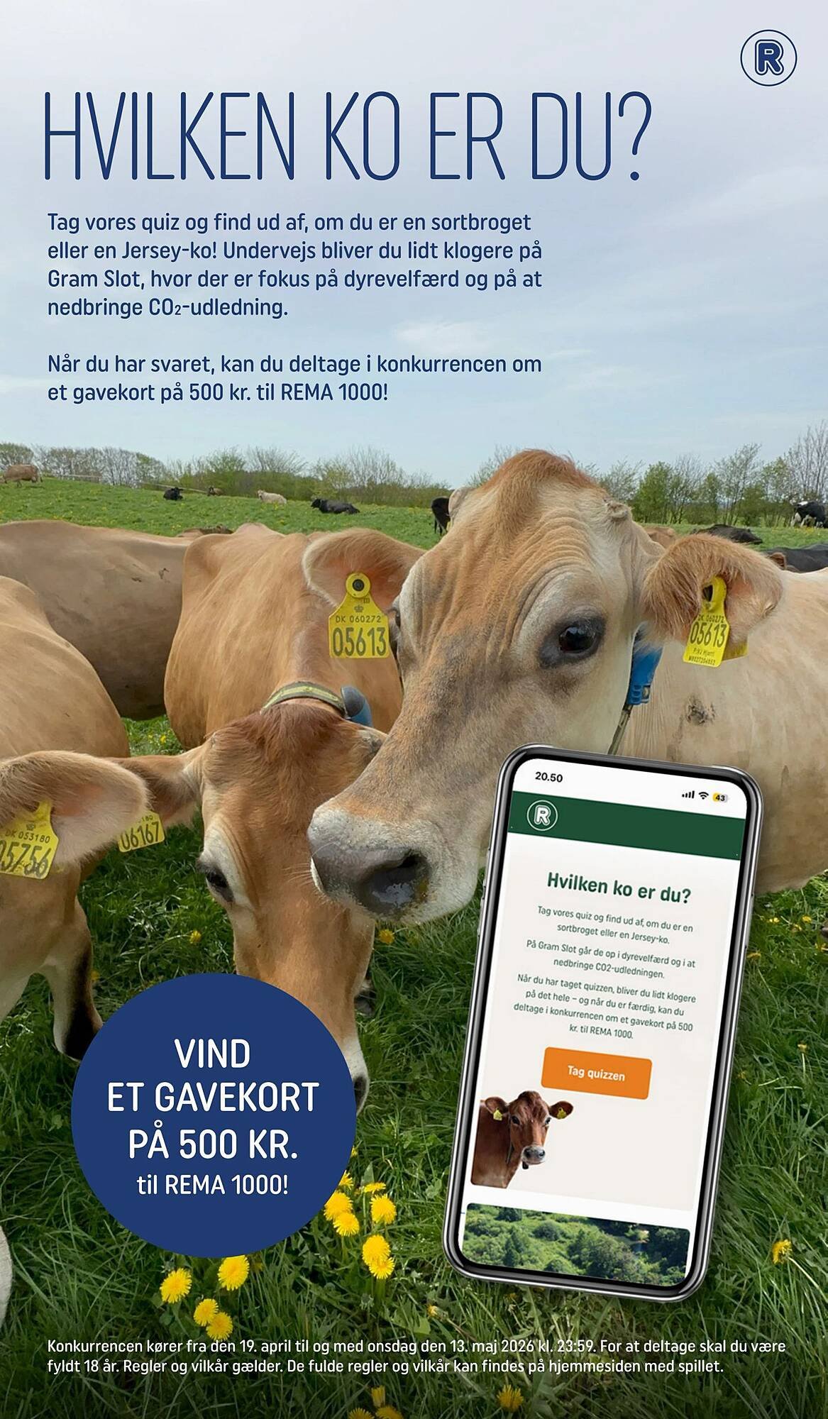REMA 1000 tilbudsavis