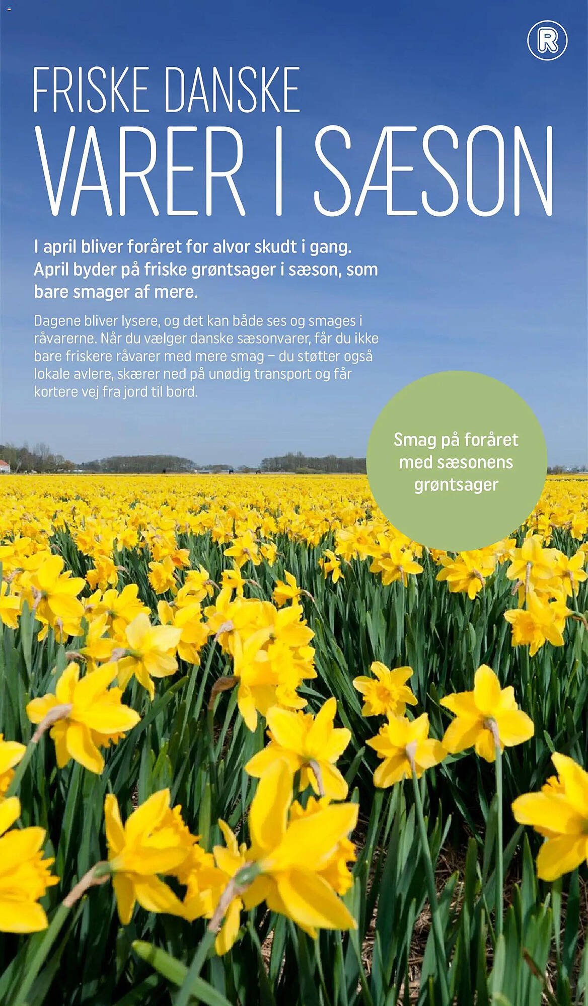 REMA 1000 tilbudsavis