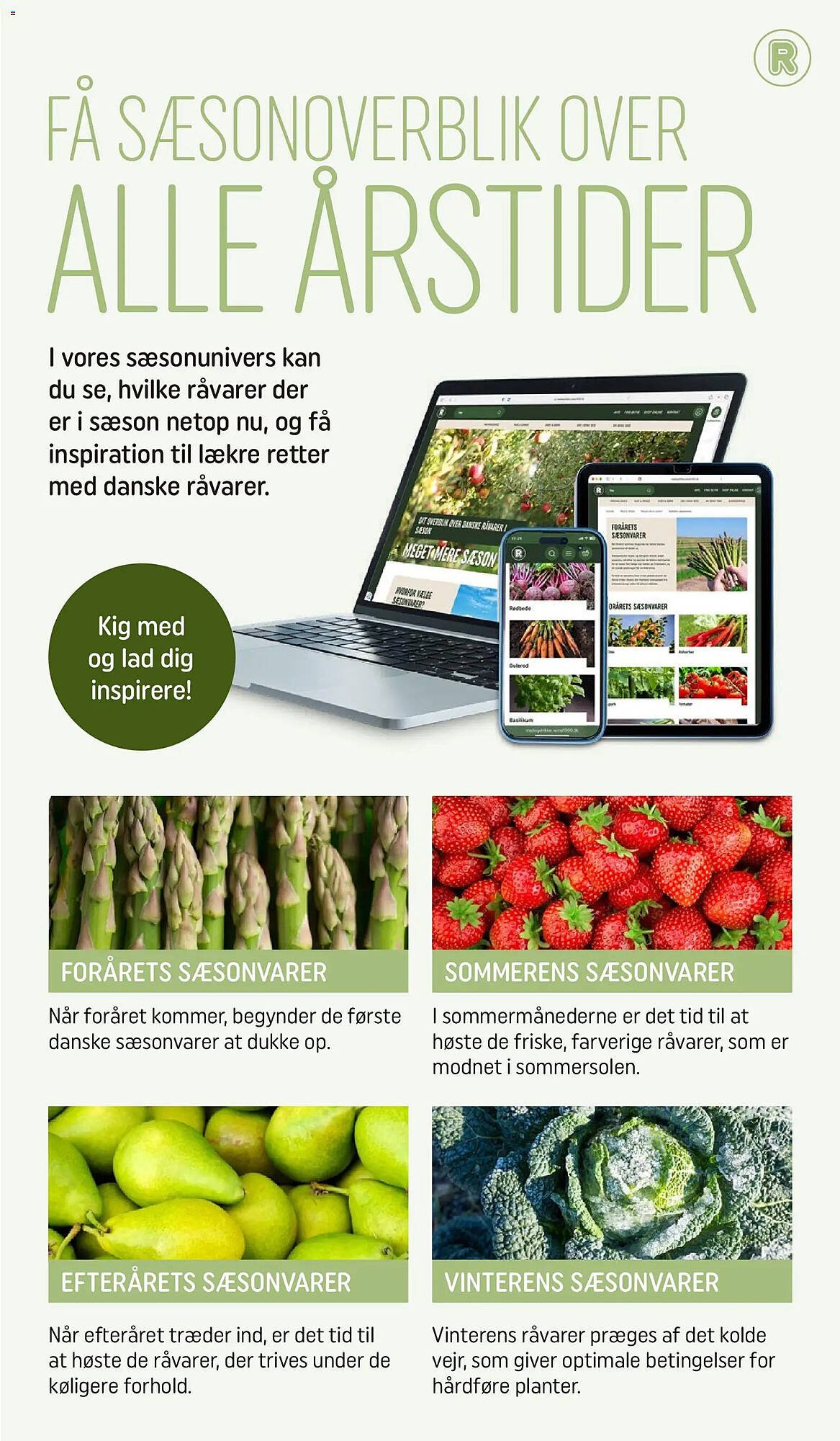 REMA 1000 tilbudsavis