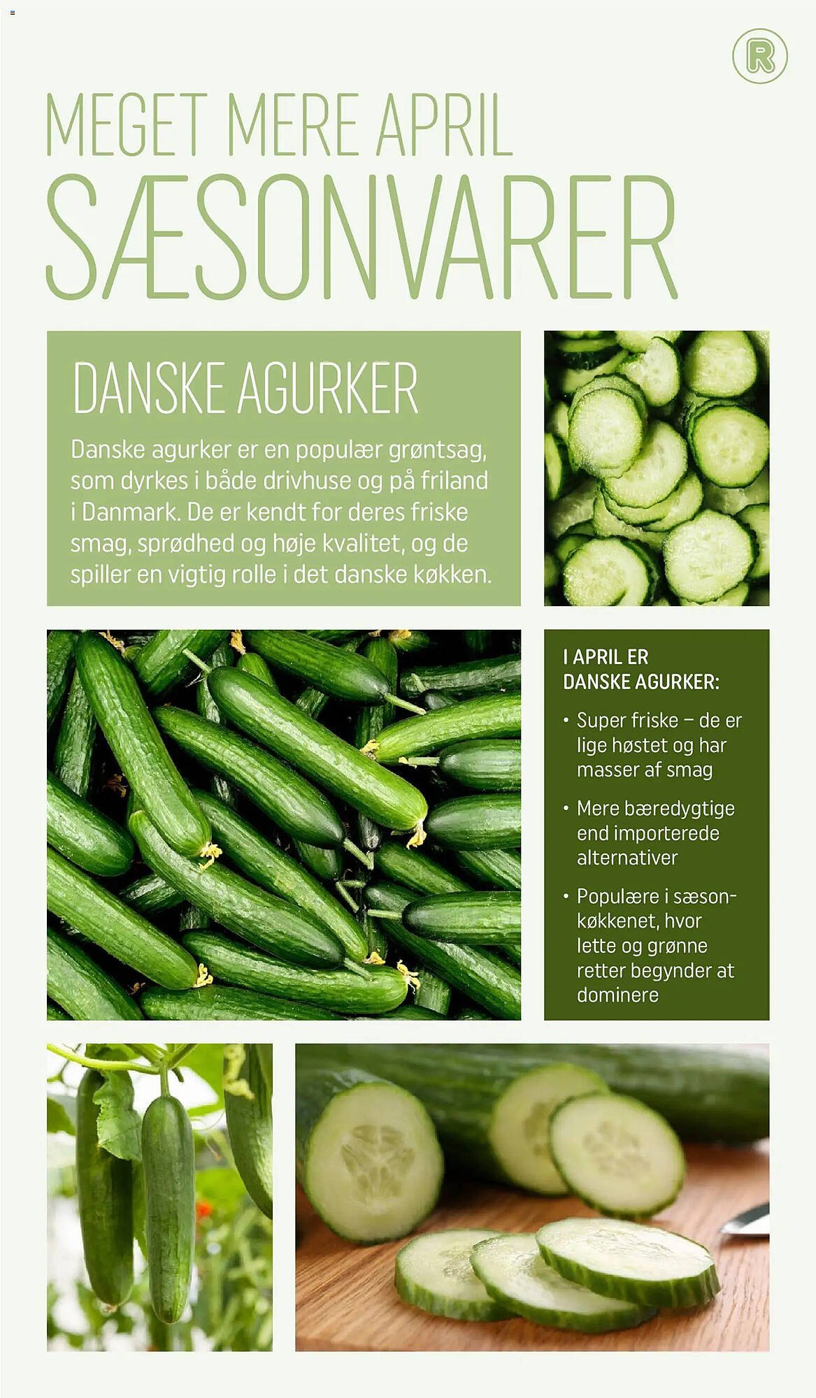 REMA 1000 tilbudsavis