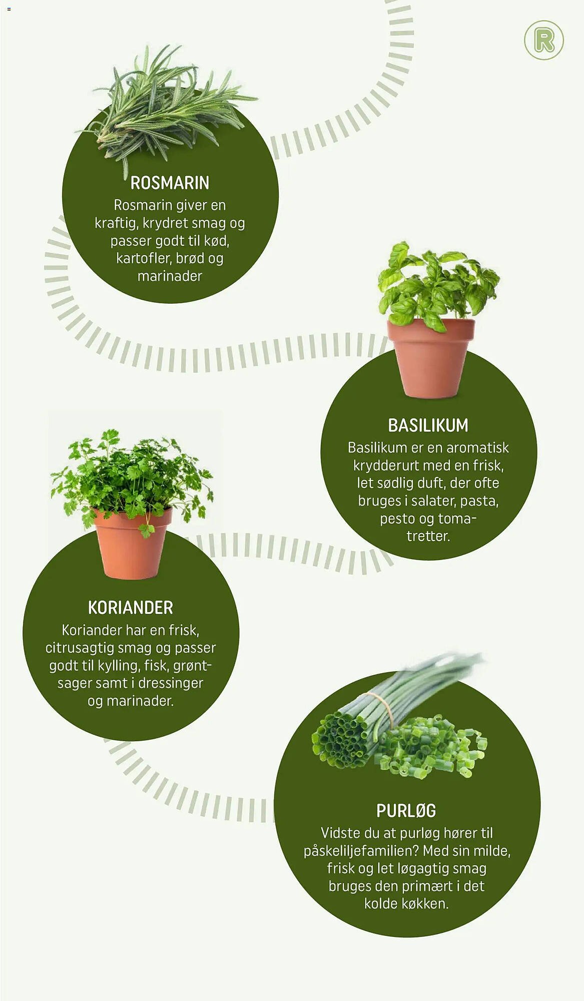 REMA 1000 tilbudsavis