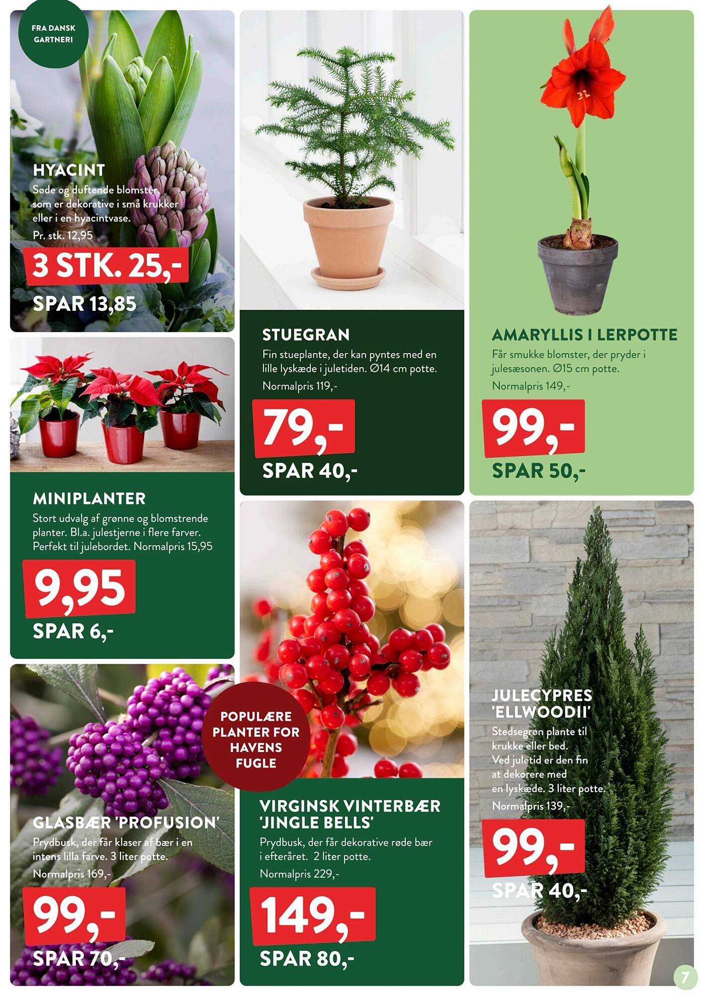 Plantorama tilbudsavis