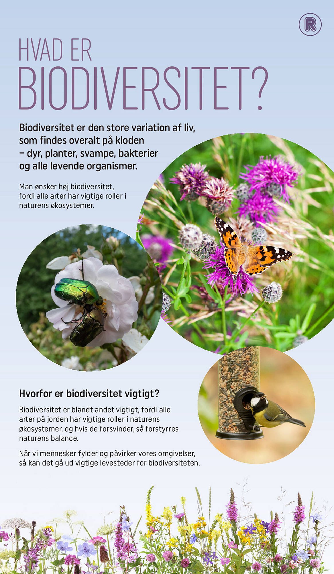 REMA 1000 tilbudsavis