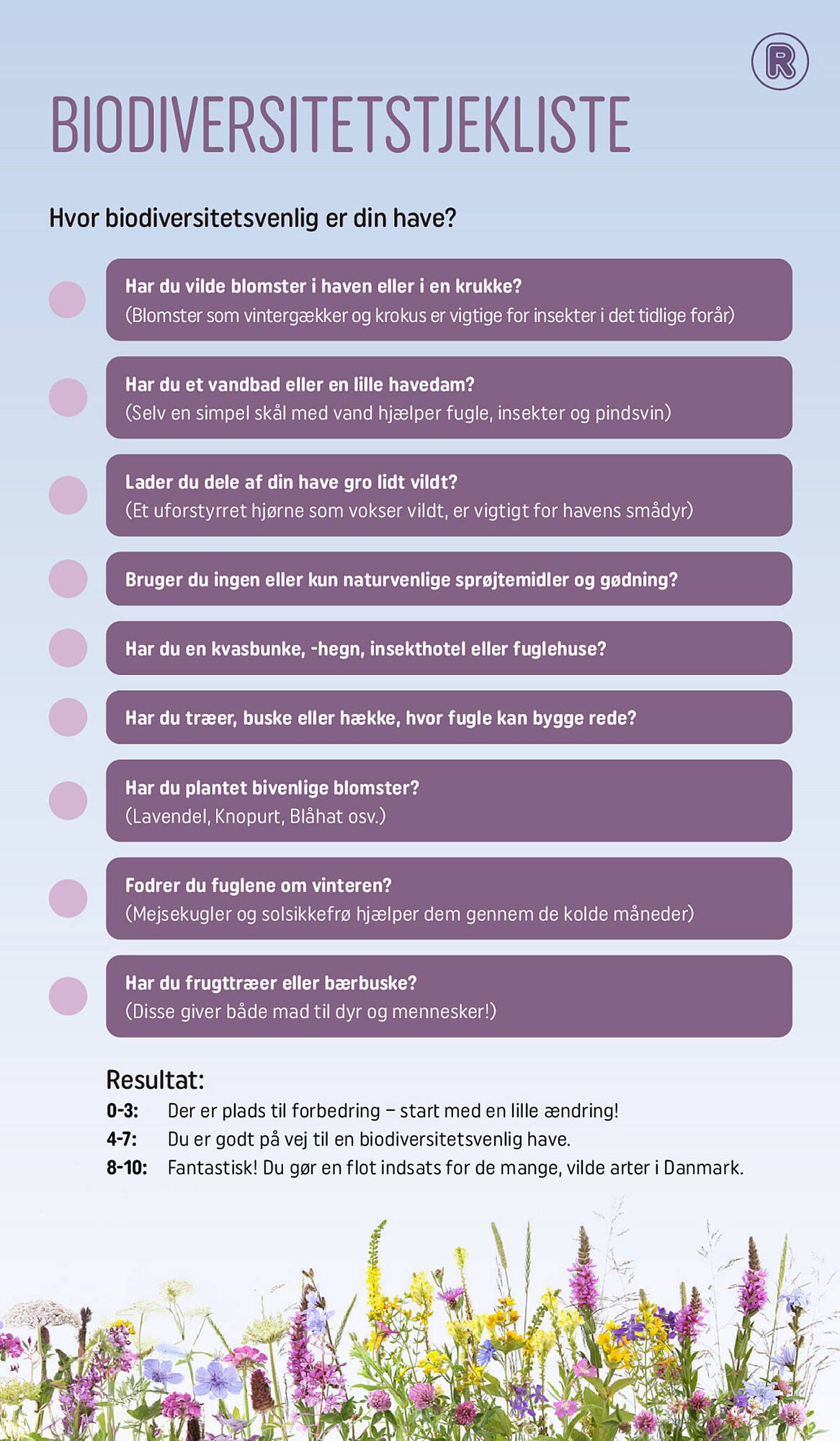 REMA 1000 tilbudsavis