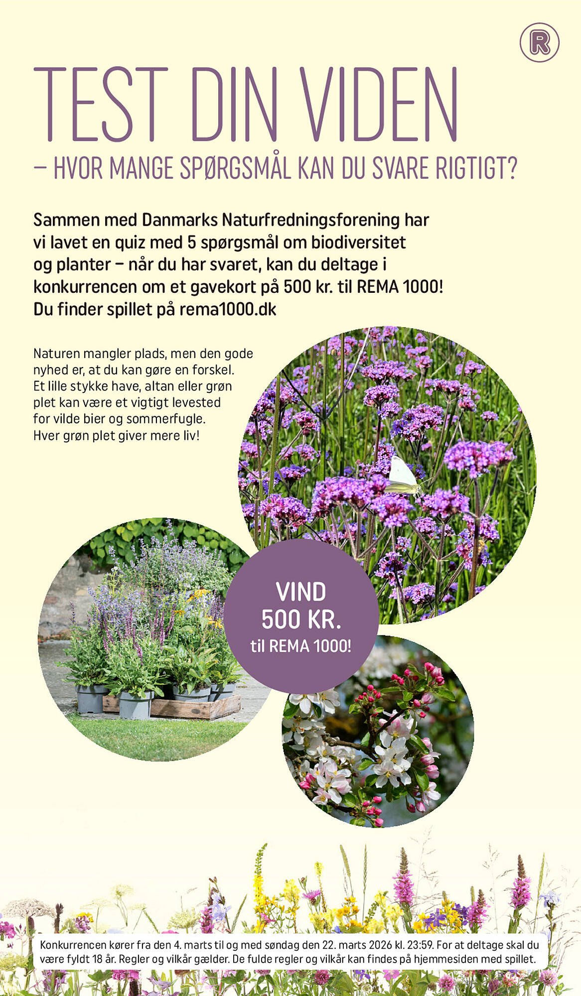 REMA 1000 tilbudsavis