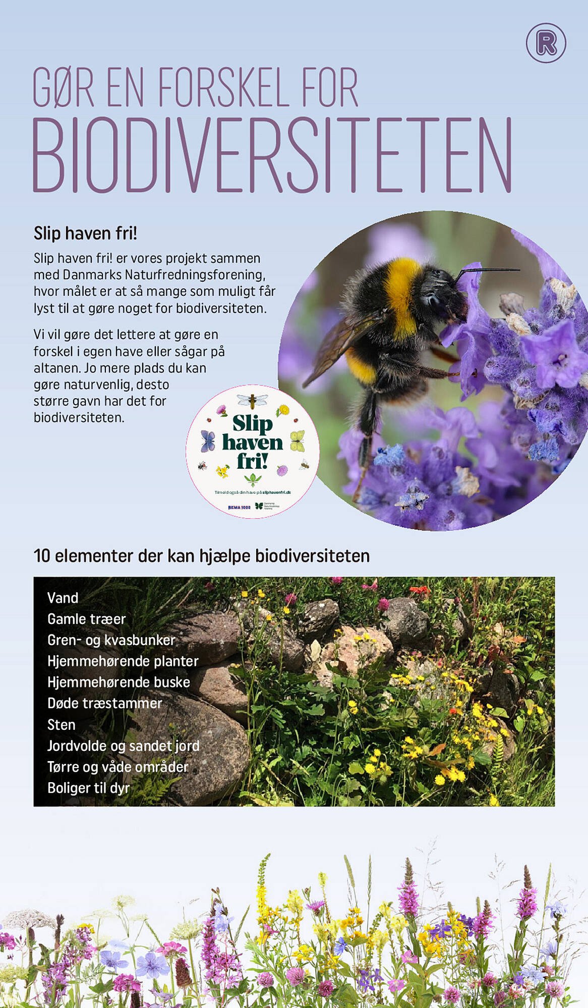 REMA 1000 tilbudsavis