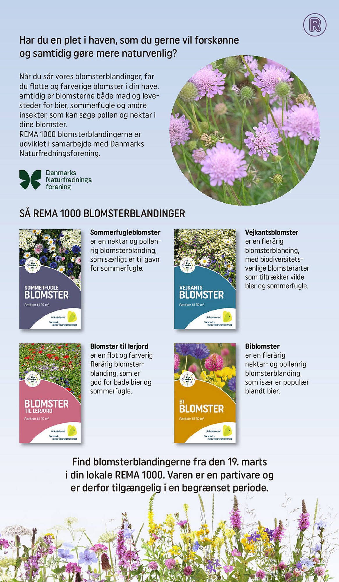 REMA 1000 tilbudsavis