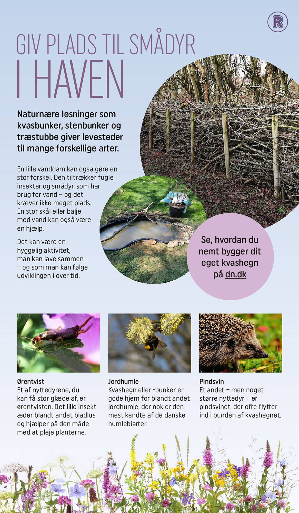 REMA 1000 tilbudsavis