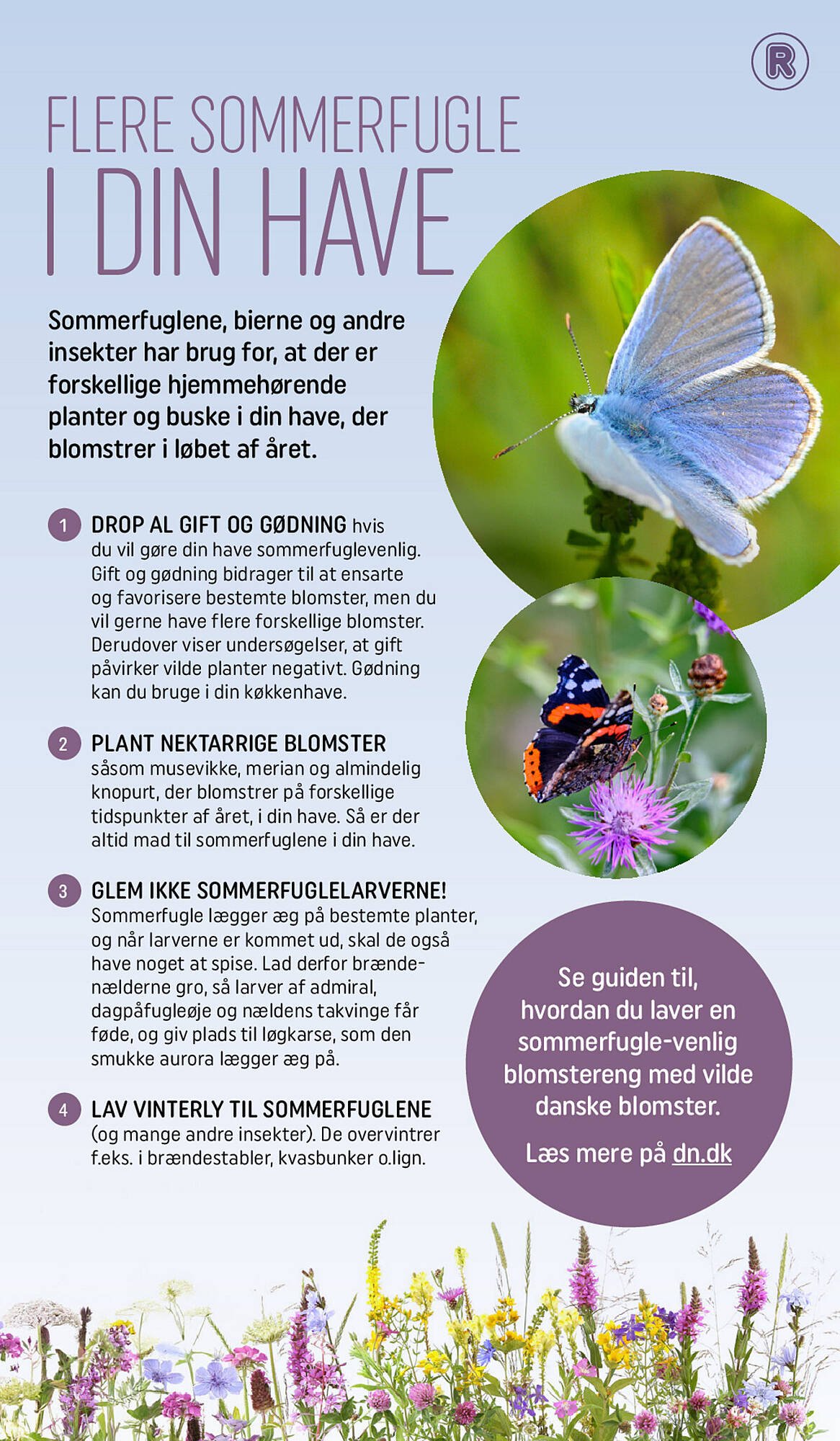 REMA 1000 tilbudsavis