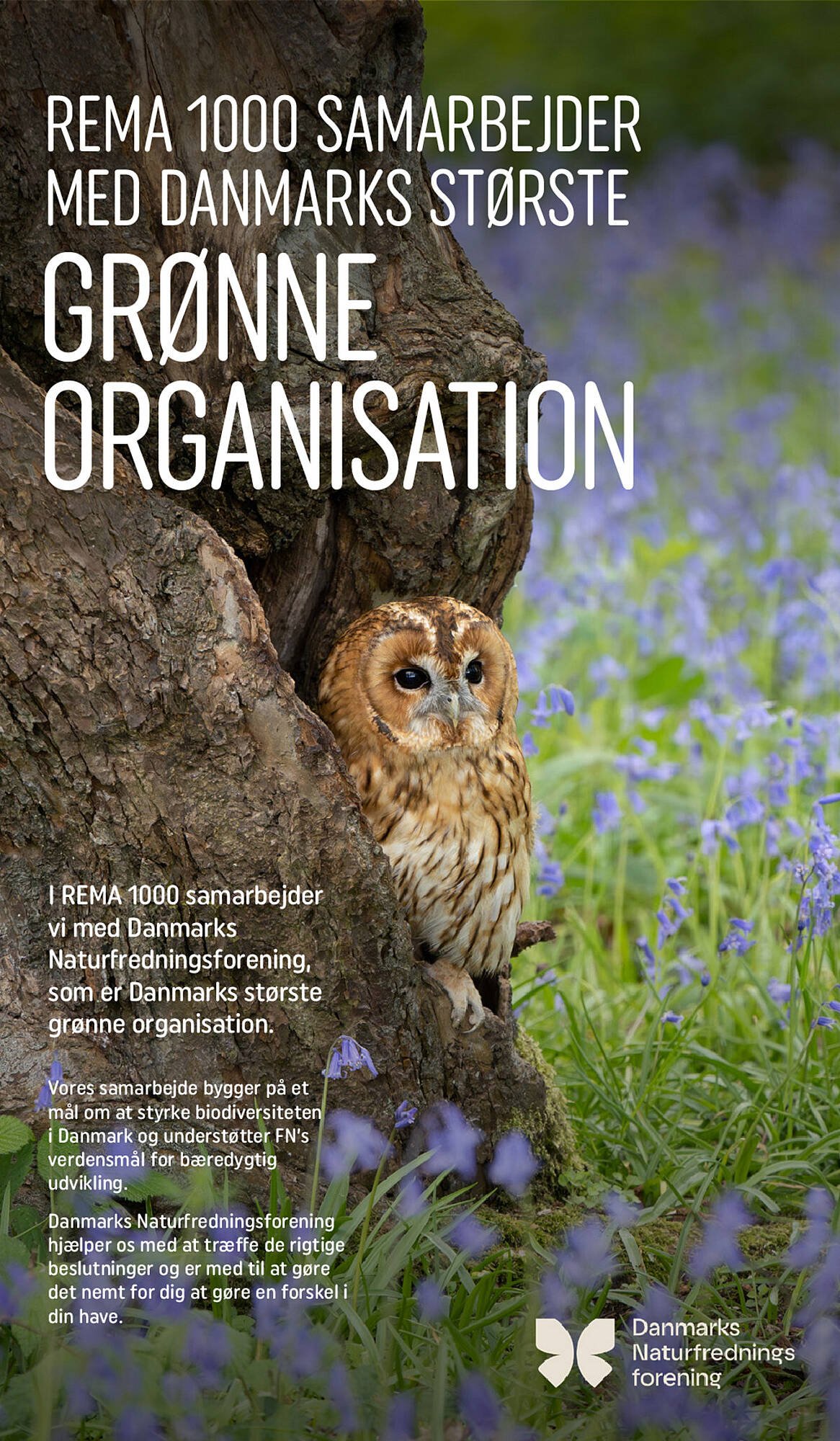 REMA 1000 tilbudsavis