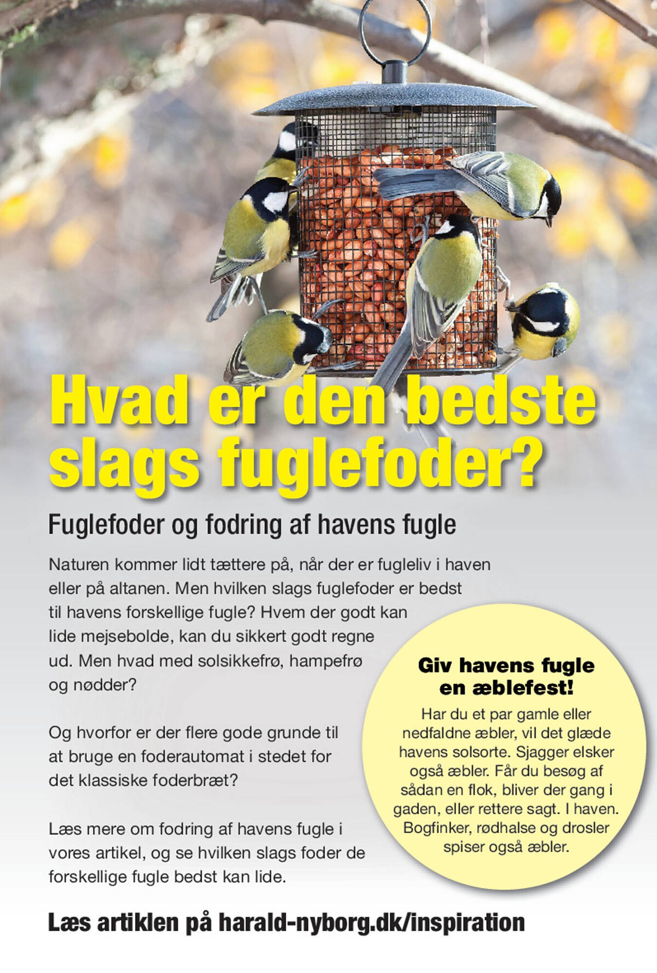 Harald Nyborg tilbudsavis (2025-10-16 - 2025-10-22)