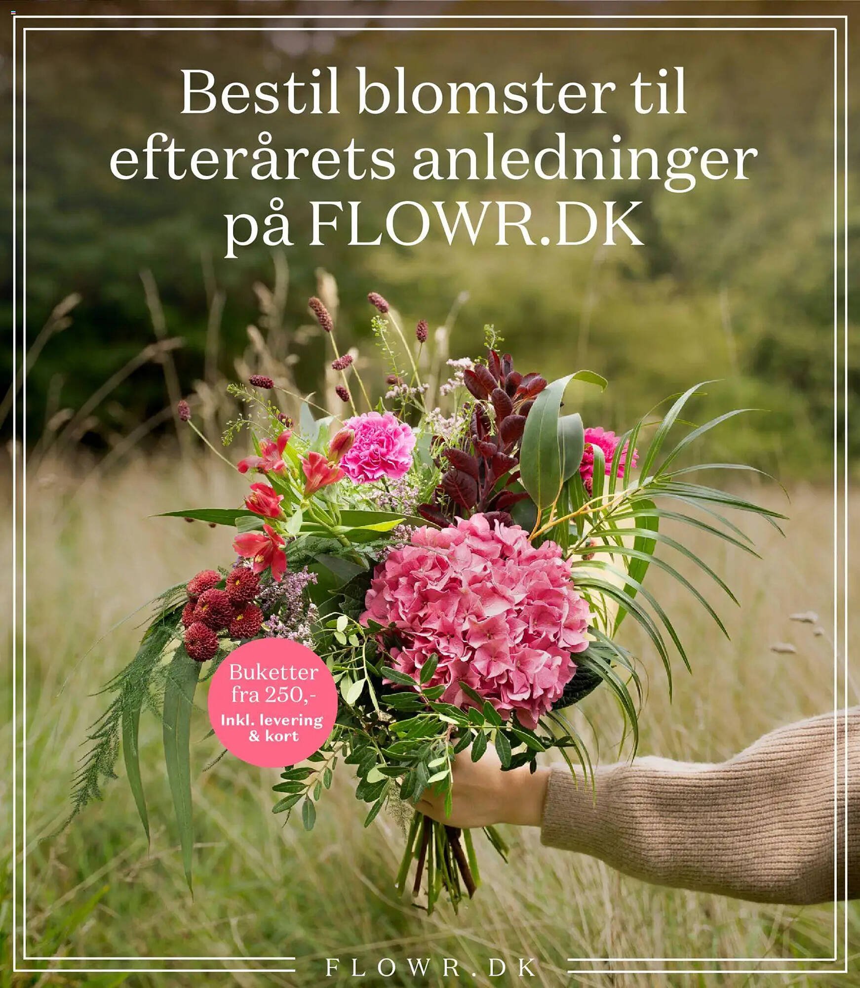 Bilka tilbudsavis (2025-10-24 - 2025-10-30)