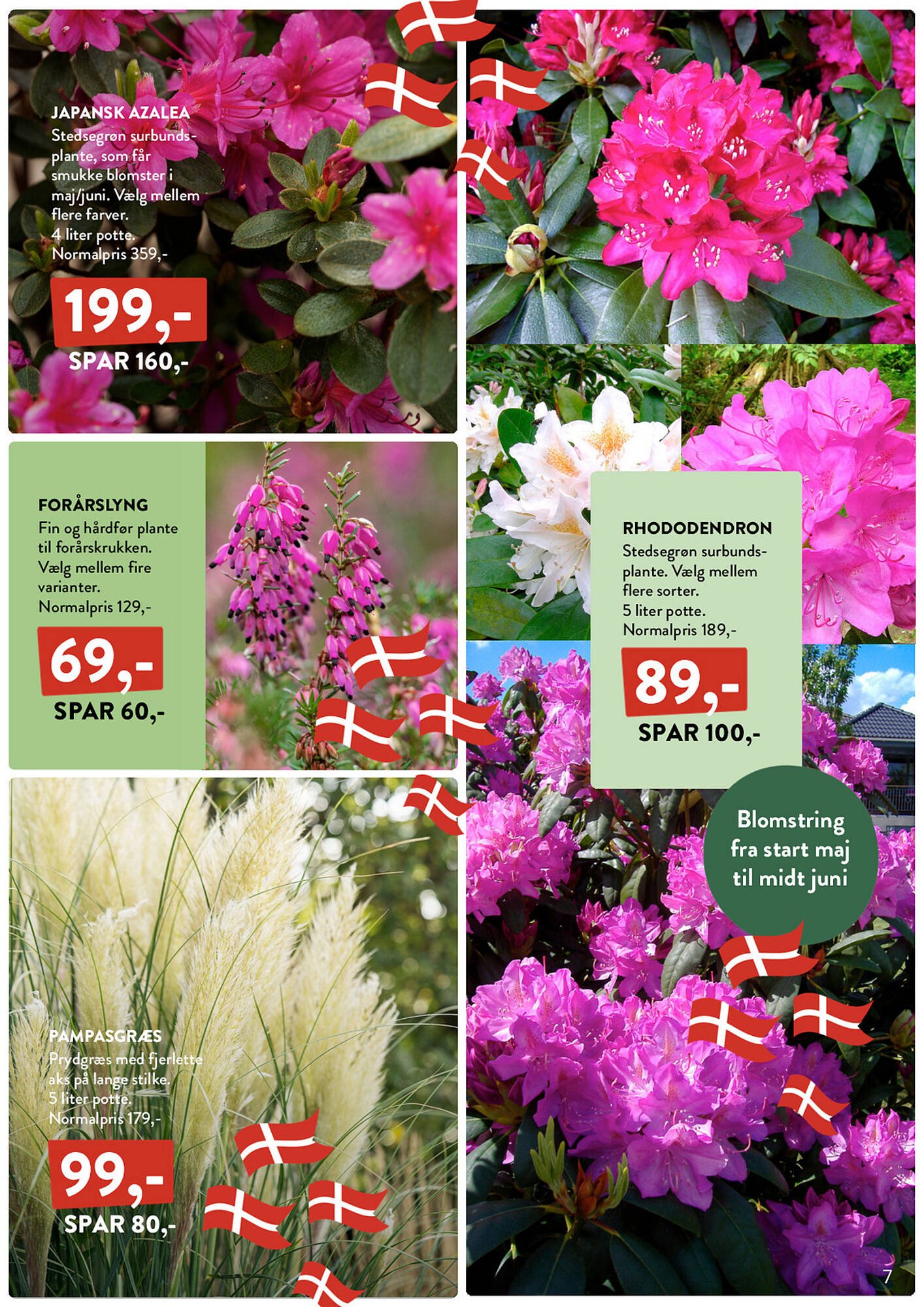 Plantorama tilbudsavis