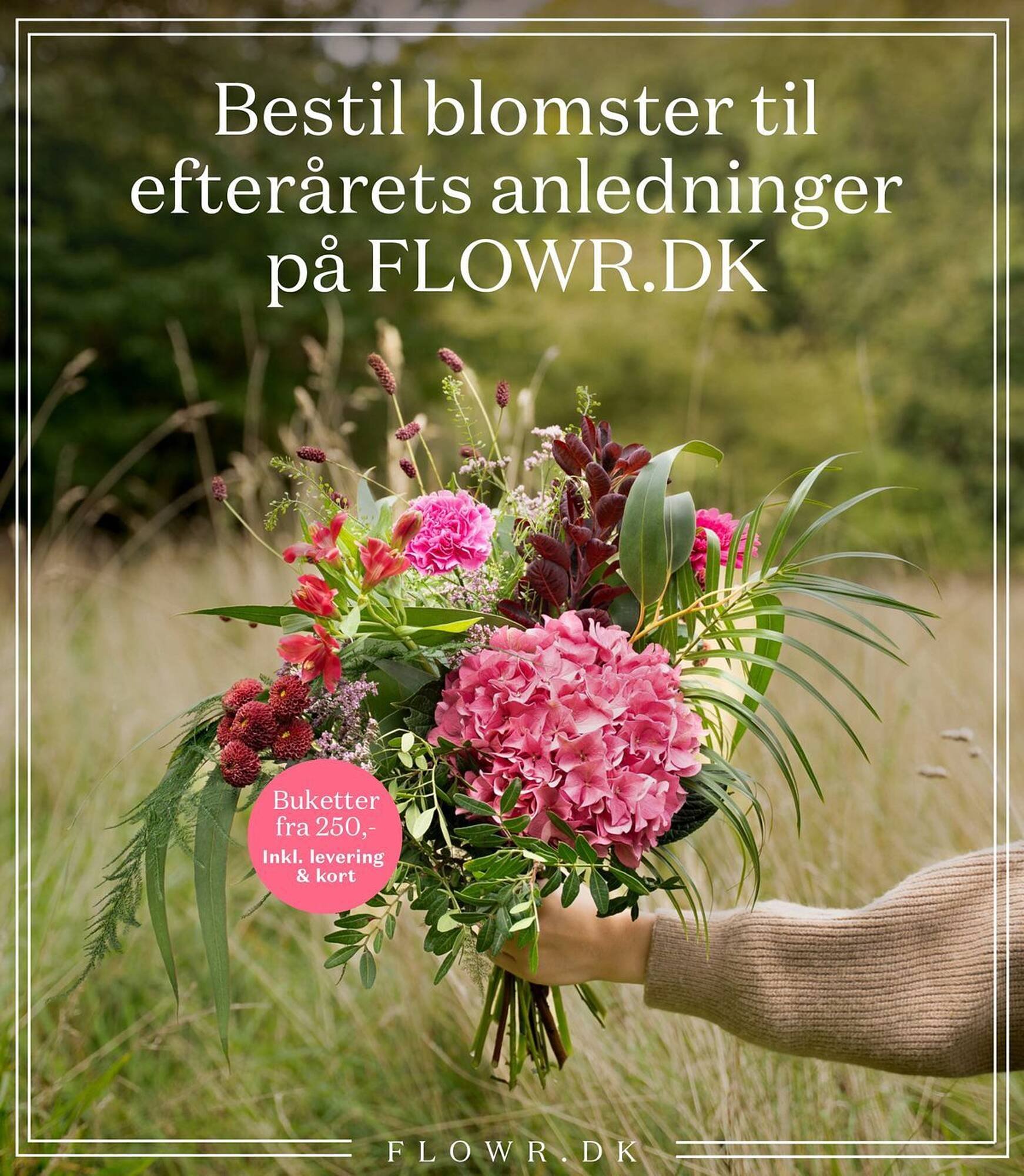 Bilka tilbudsavis (2025-10-31 - 2025-11-06)