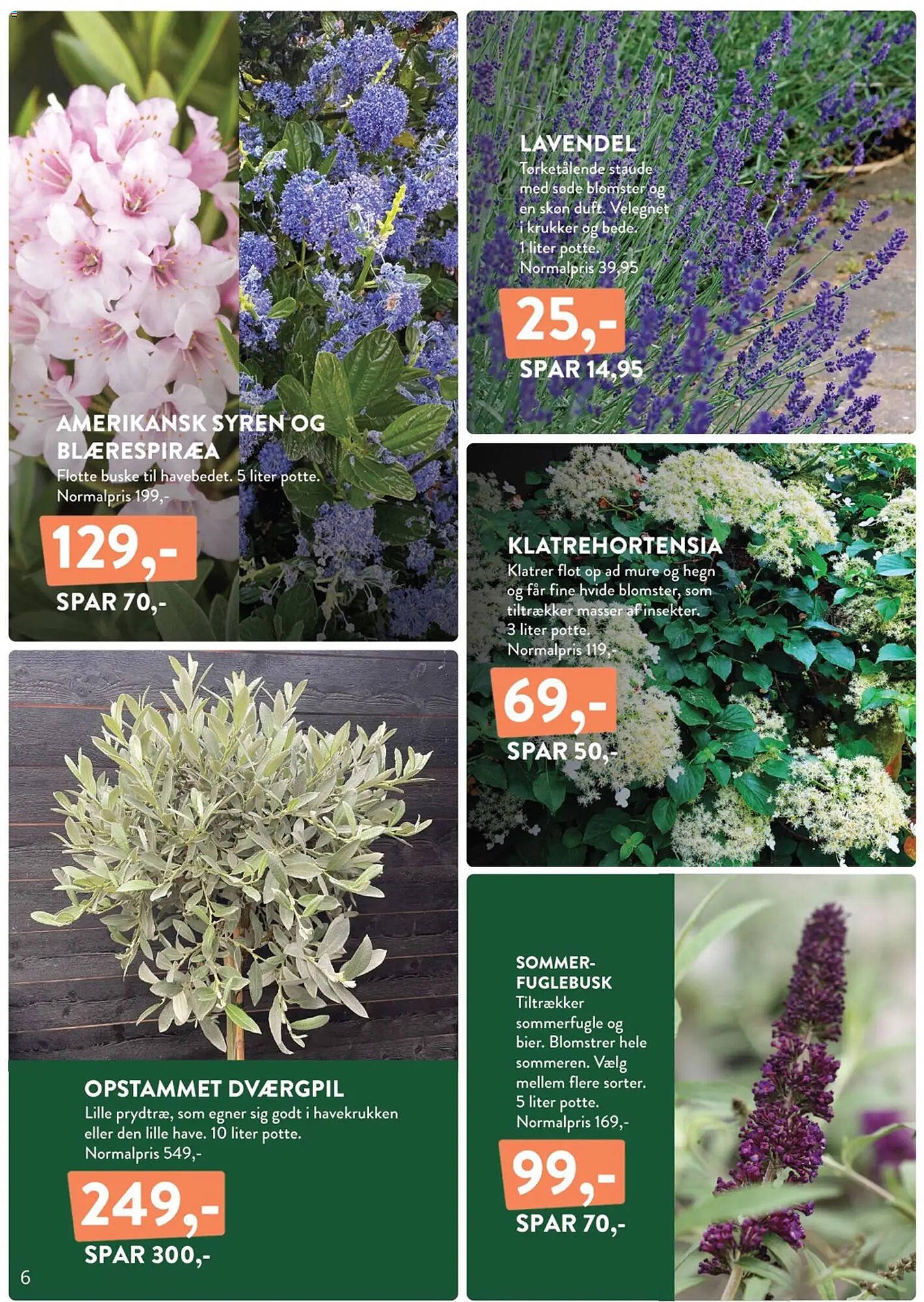 Plantorama tilbudsavis