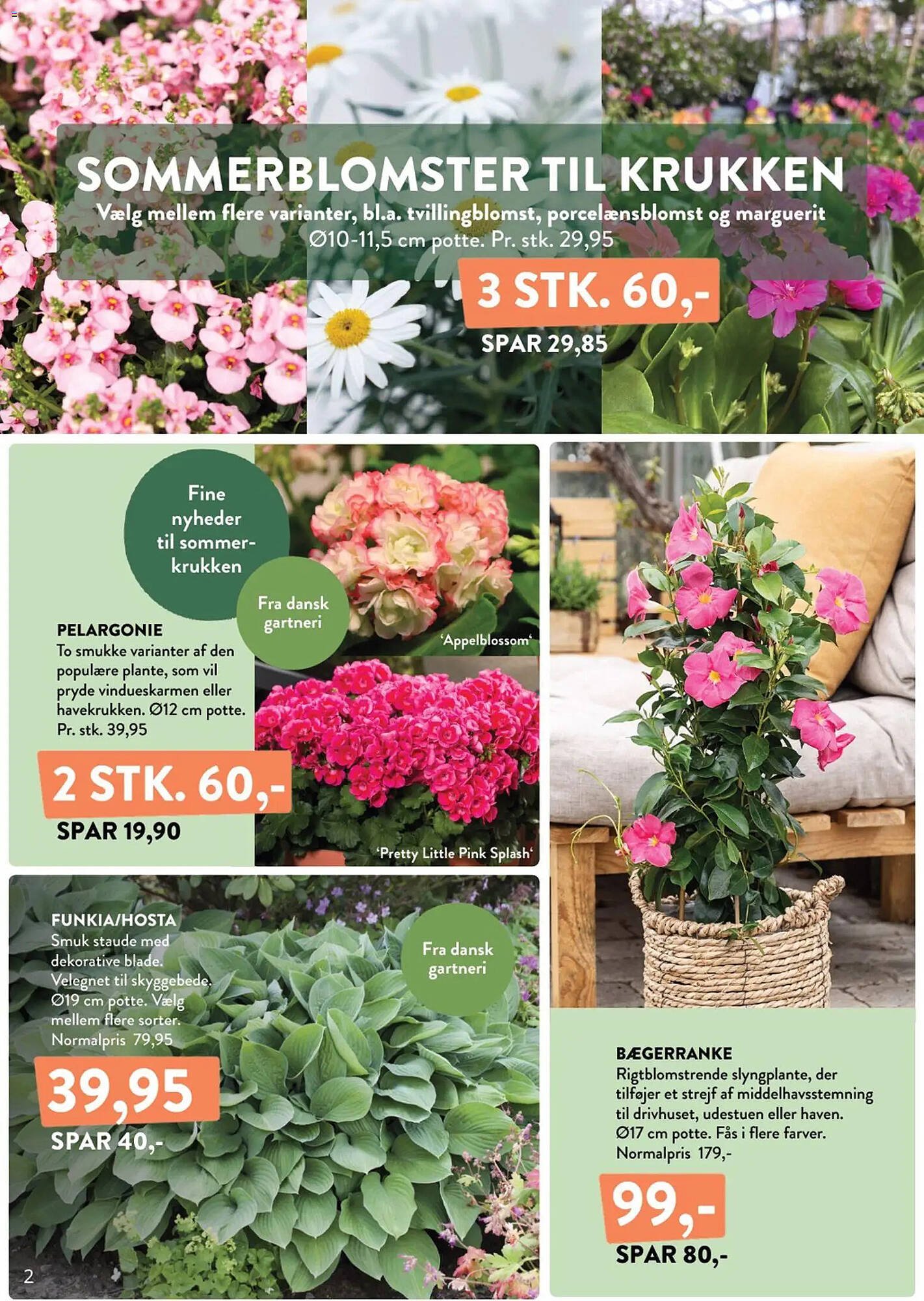 Plantorama tilbudsavis