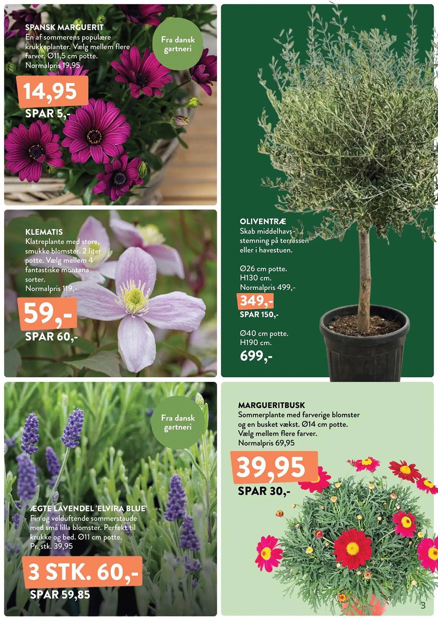 Plantorama tilbudsavis