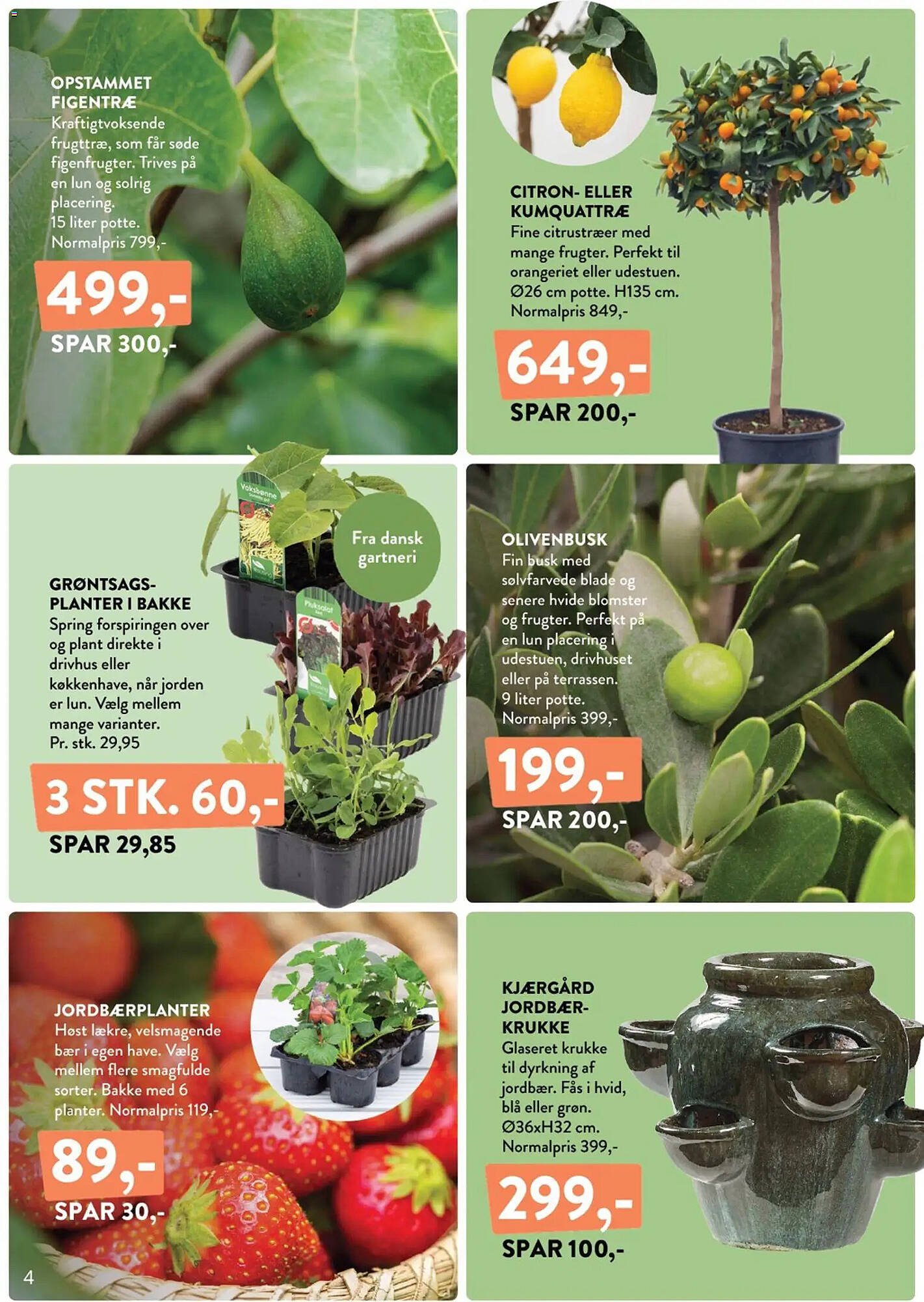 Plantorama tilbudsavis