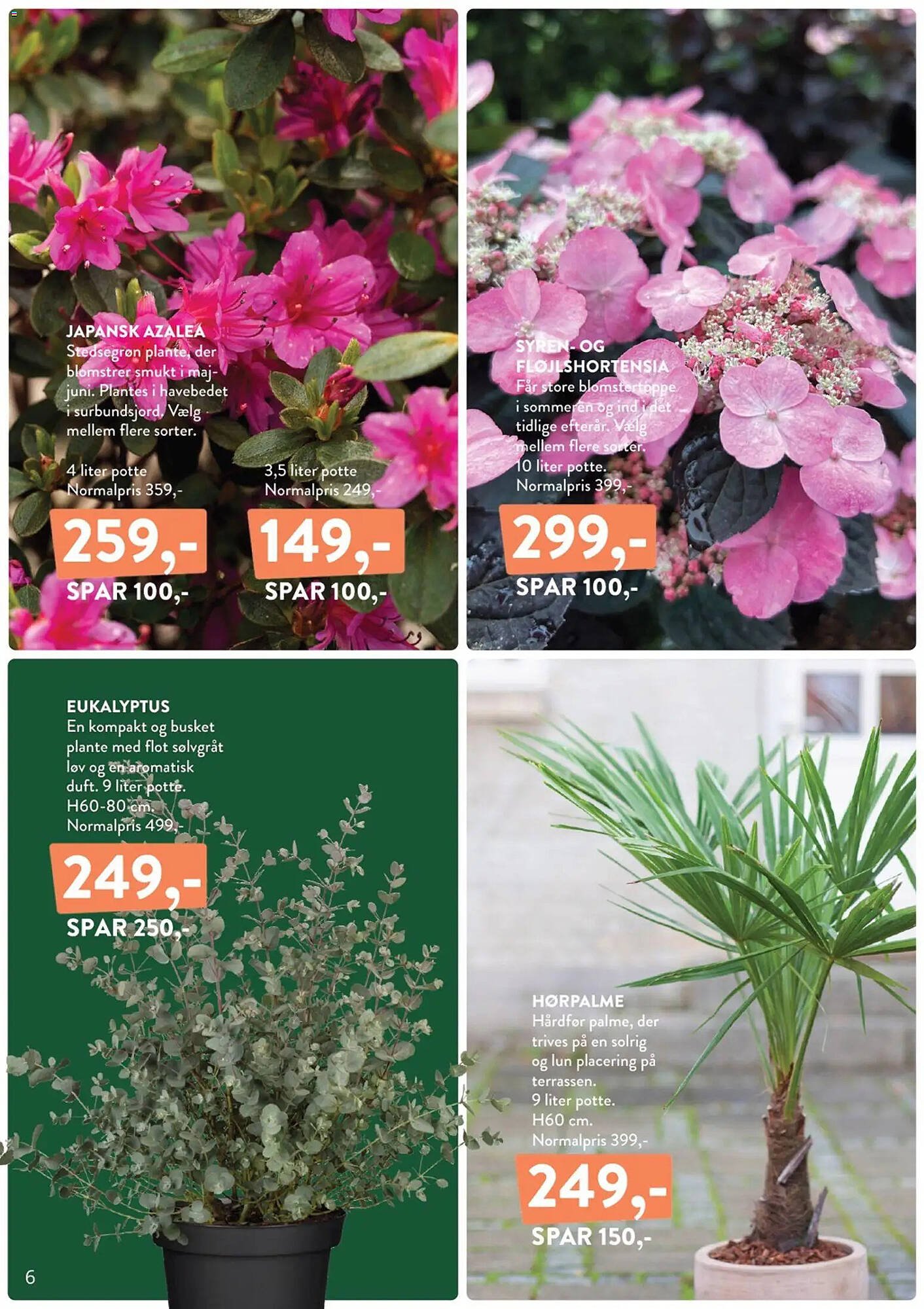 Plantorama tilbudsavis