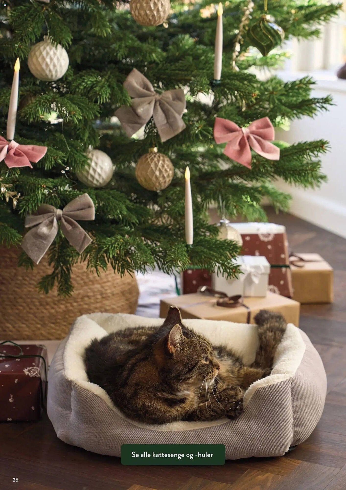 Plantorama tilbudsavis