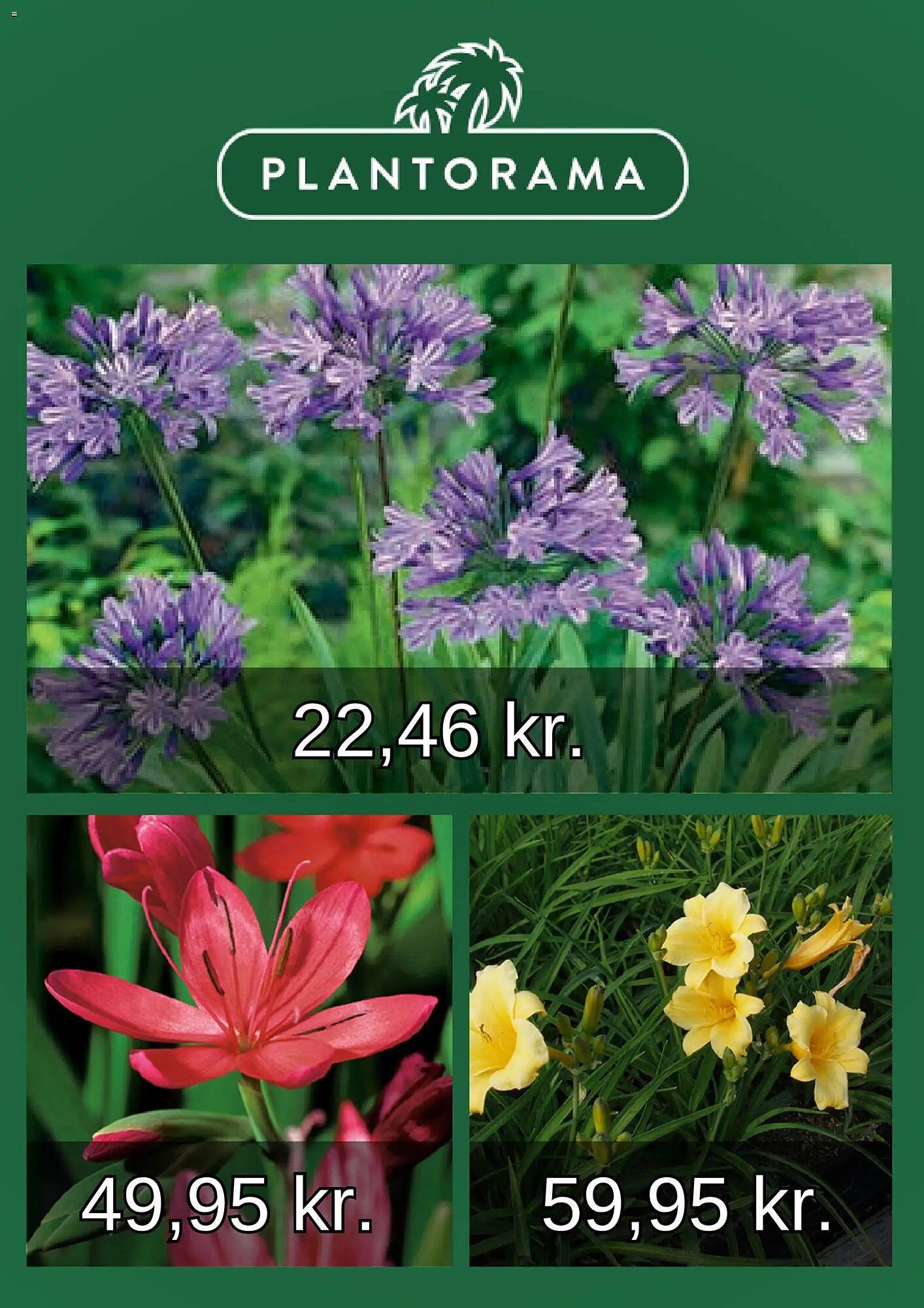 Plantorama tilbudsavis