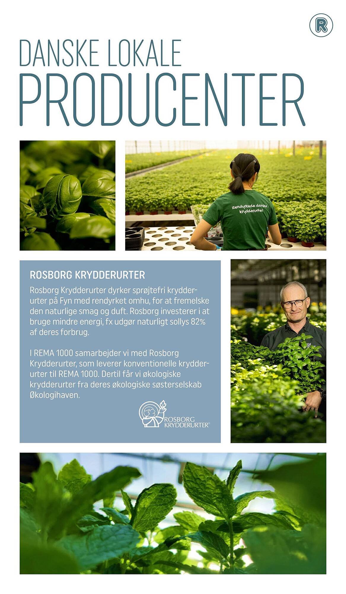 REMA 1000 tilbudsavis (2025-12-01 - 2026-01-01)