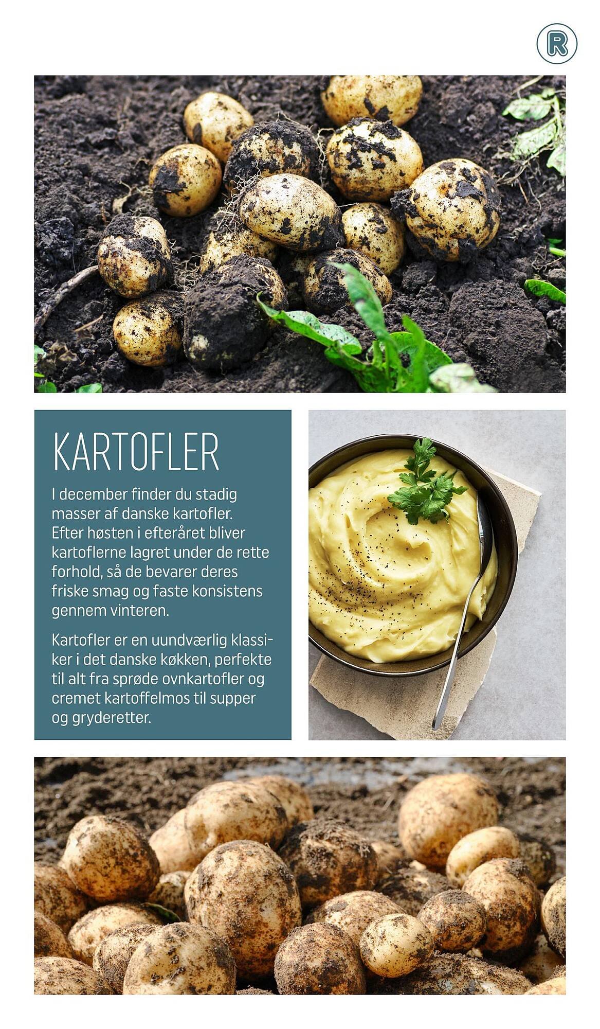 REMA 1000 tilbudsavis (2025-12-01 - 2026-01-01)