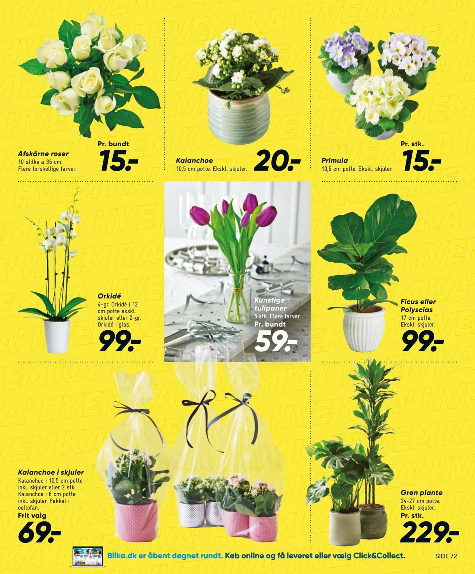 Bilka tilbudsavis (2025-12-25 - 2026-01-01)