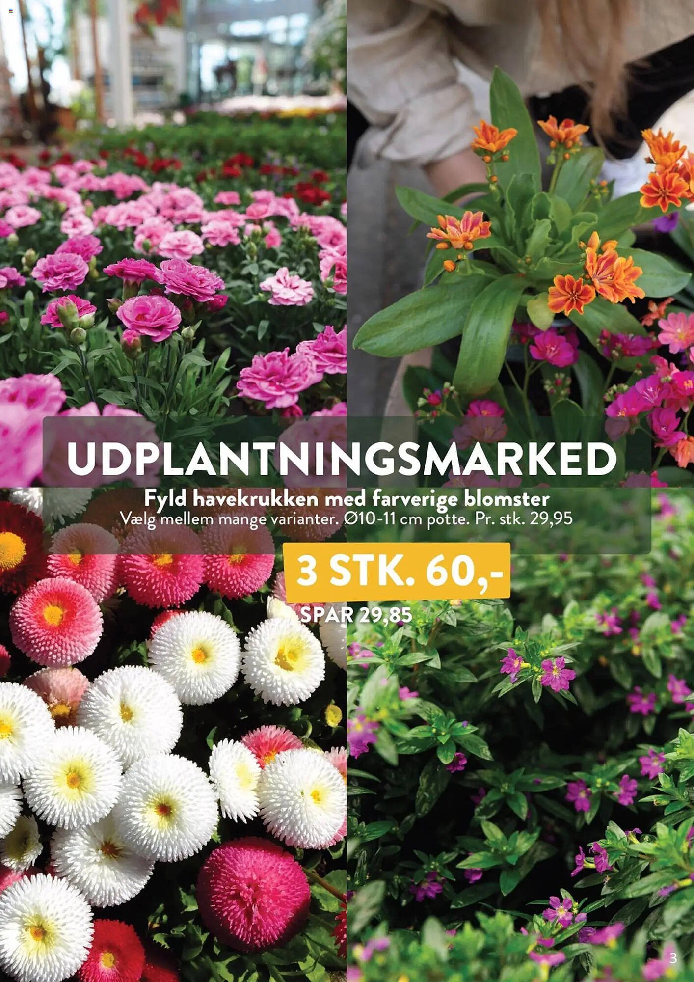 Plantorama tilbudsavis