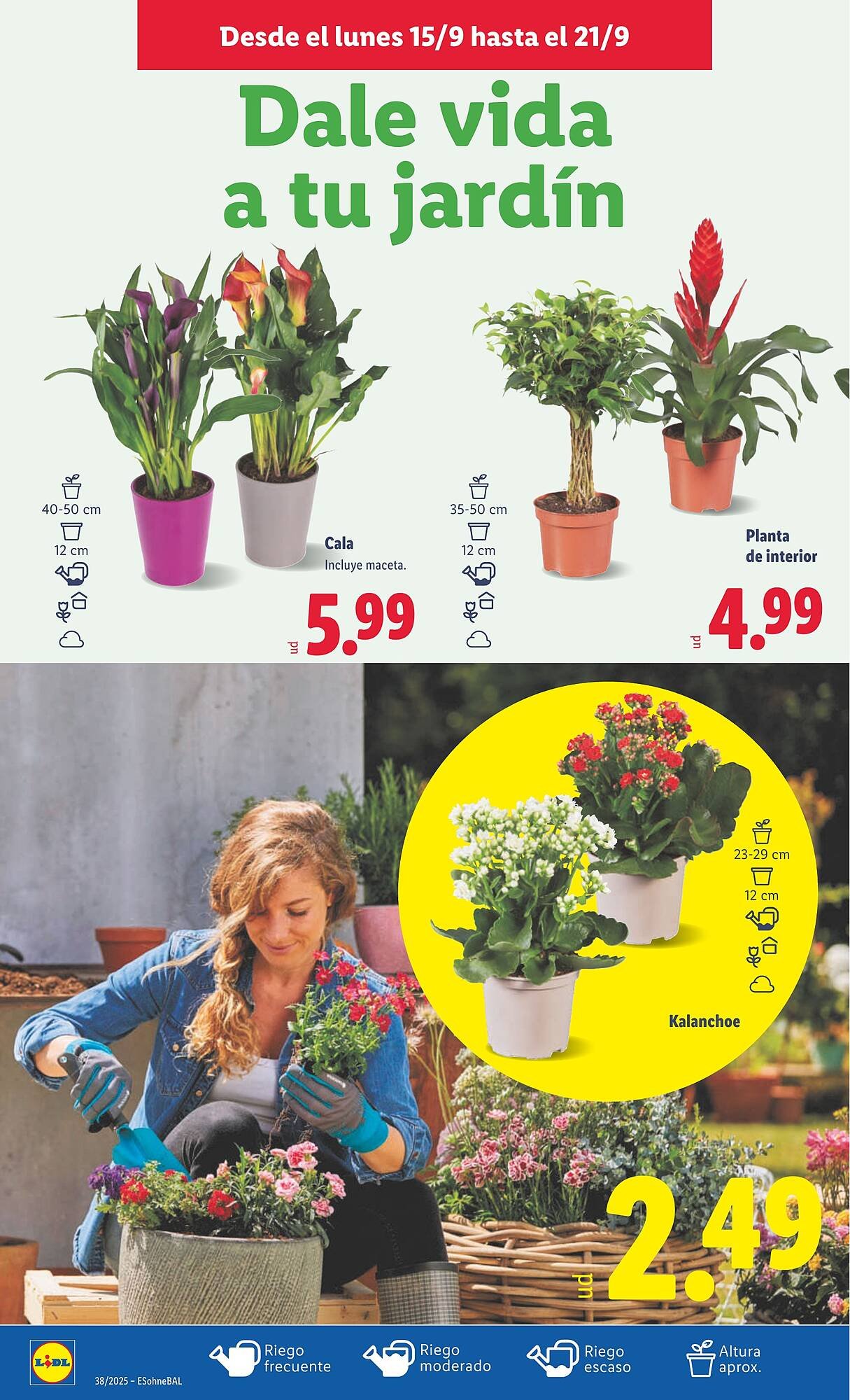 Catálogo Lidl (2025-09-15 - 2025-09-21)