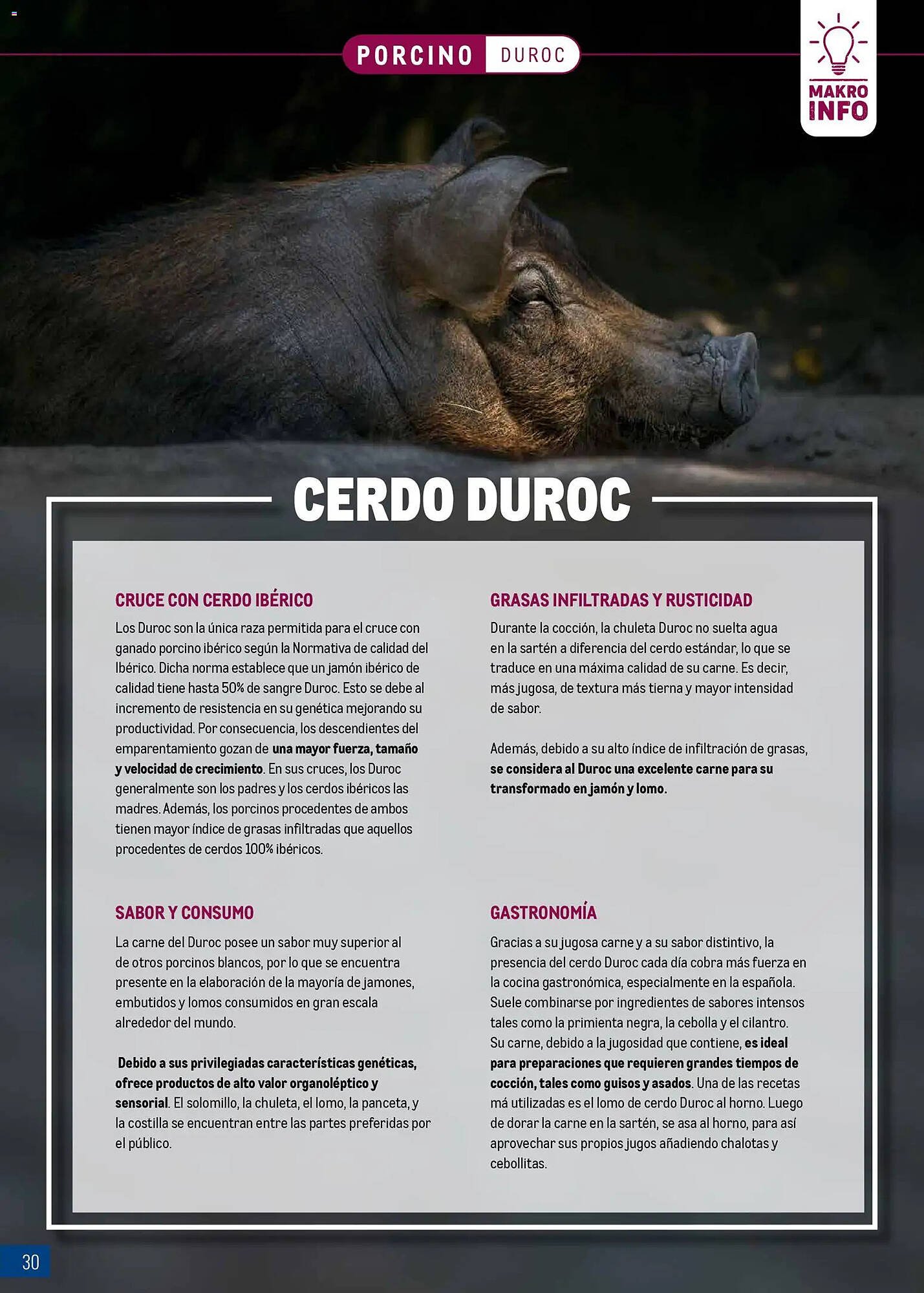 Catálogo Makro (2026-03-09 - 2026-04-05)