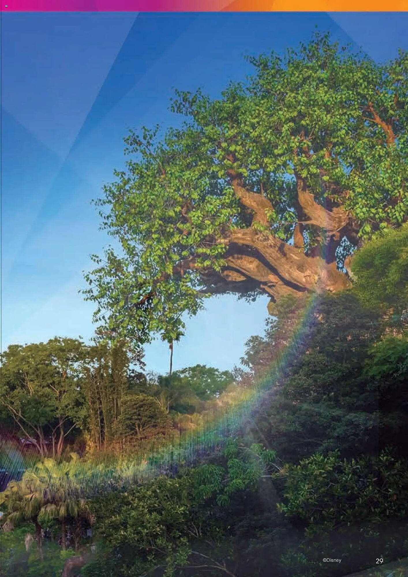 Catálogo Viajes El Corte Inglés (2025-12-03 - 2026-06-30)